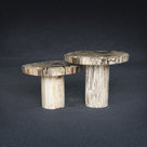 Petrified Wood Mushroom Side (Table A) 19