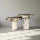 Petrified Wood Mushroom Side (Table A) 19