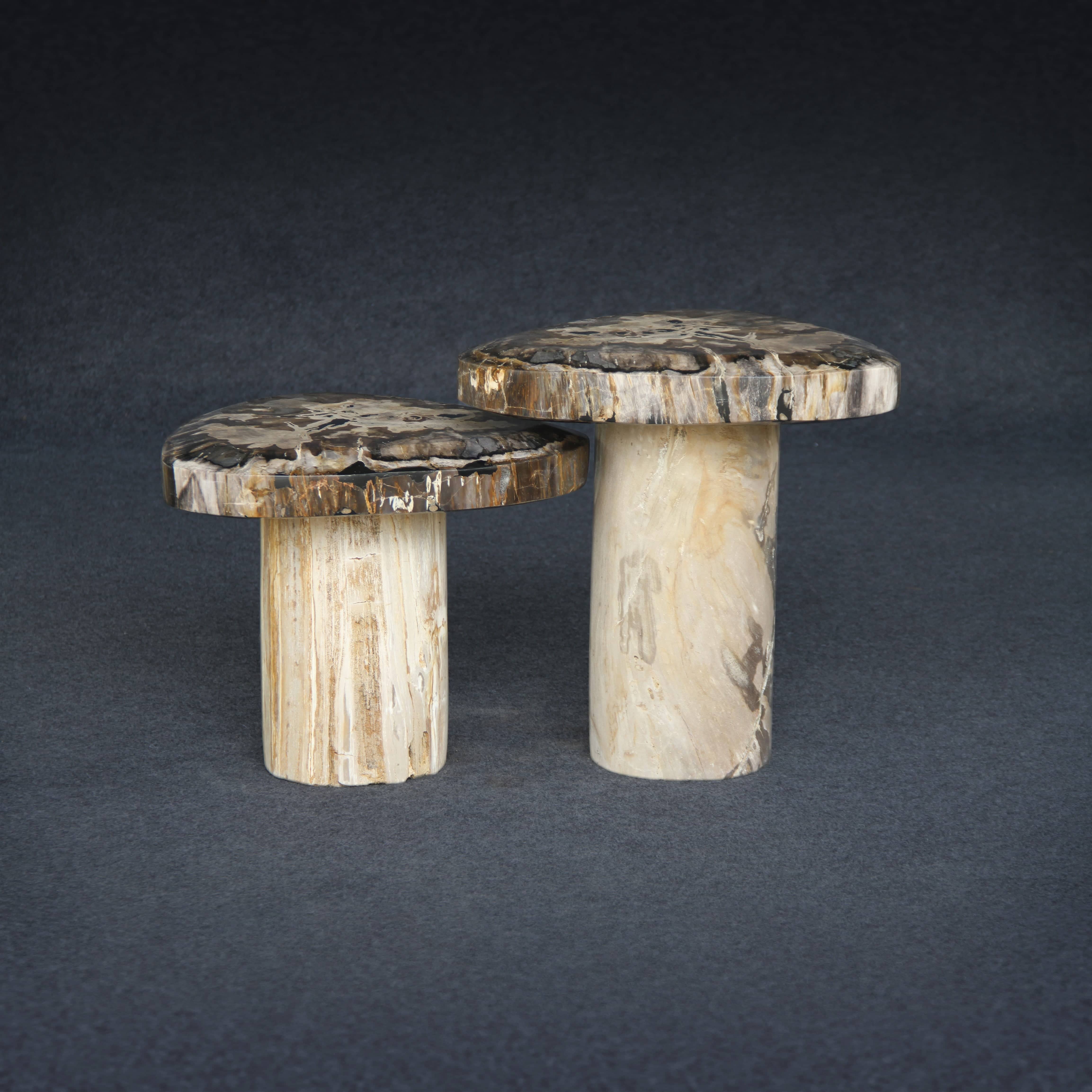 Kalifano Petrified Wood Petrified Wood Mushroom Side (Table A) 19" / 119 lbs PWMT8800.004
