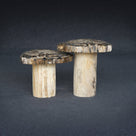 Petrified Wood Mushroom Side (Table A) 19
