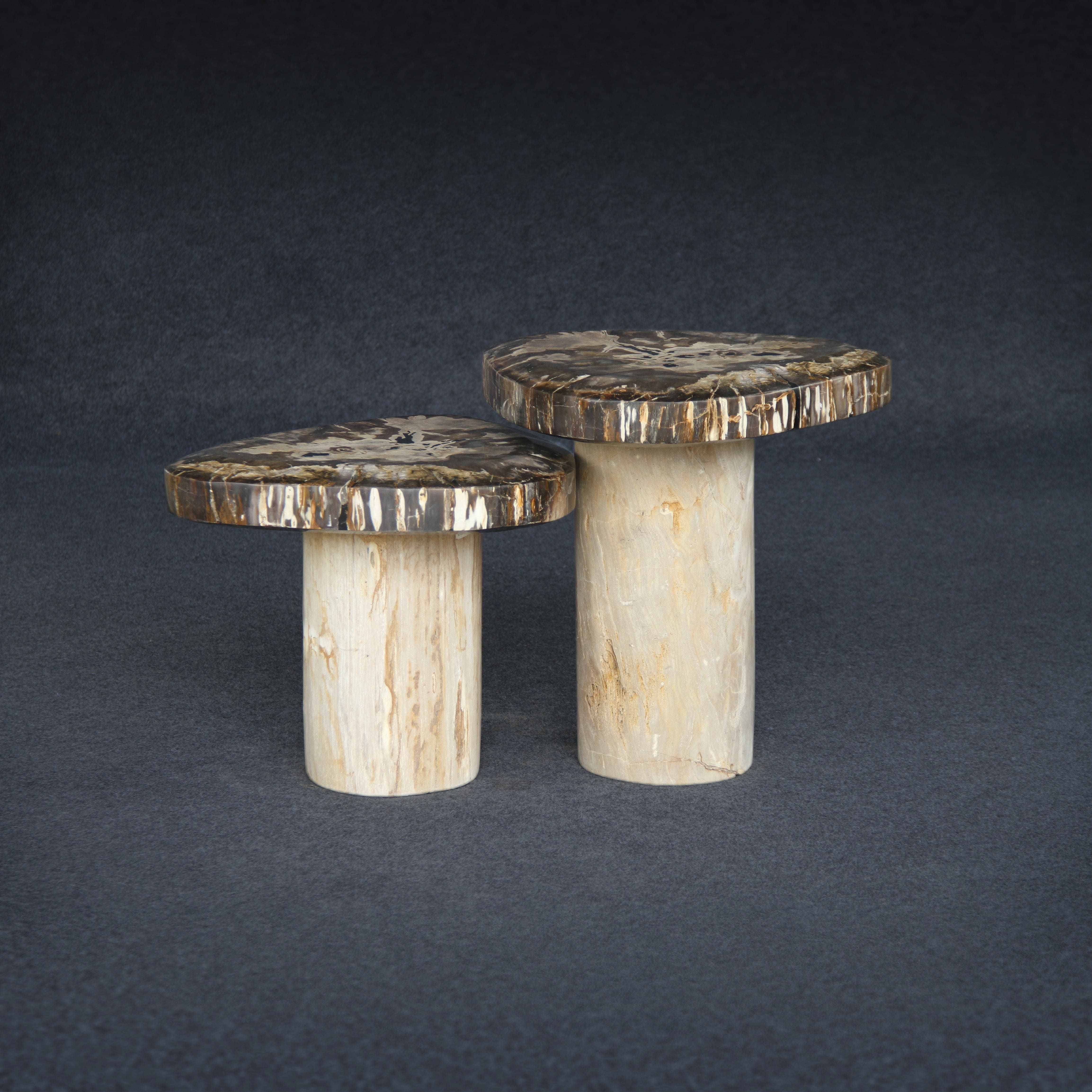 Kalifano Petrified Wood Petrified Wood Mushroom Side (Table A) 19" / 119 lbs PWMT8800.004