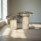 Petrified Wood Mushroom Side (Table A) 19