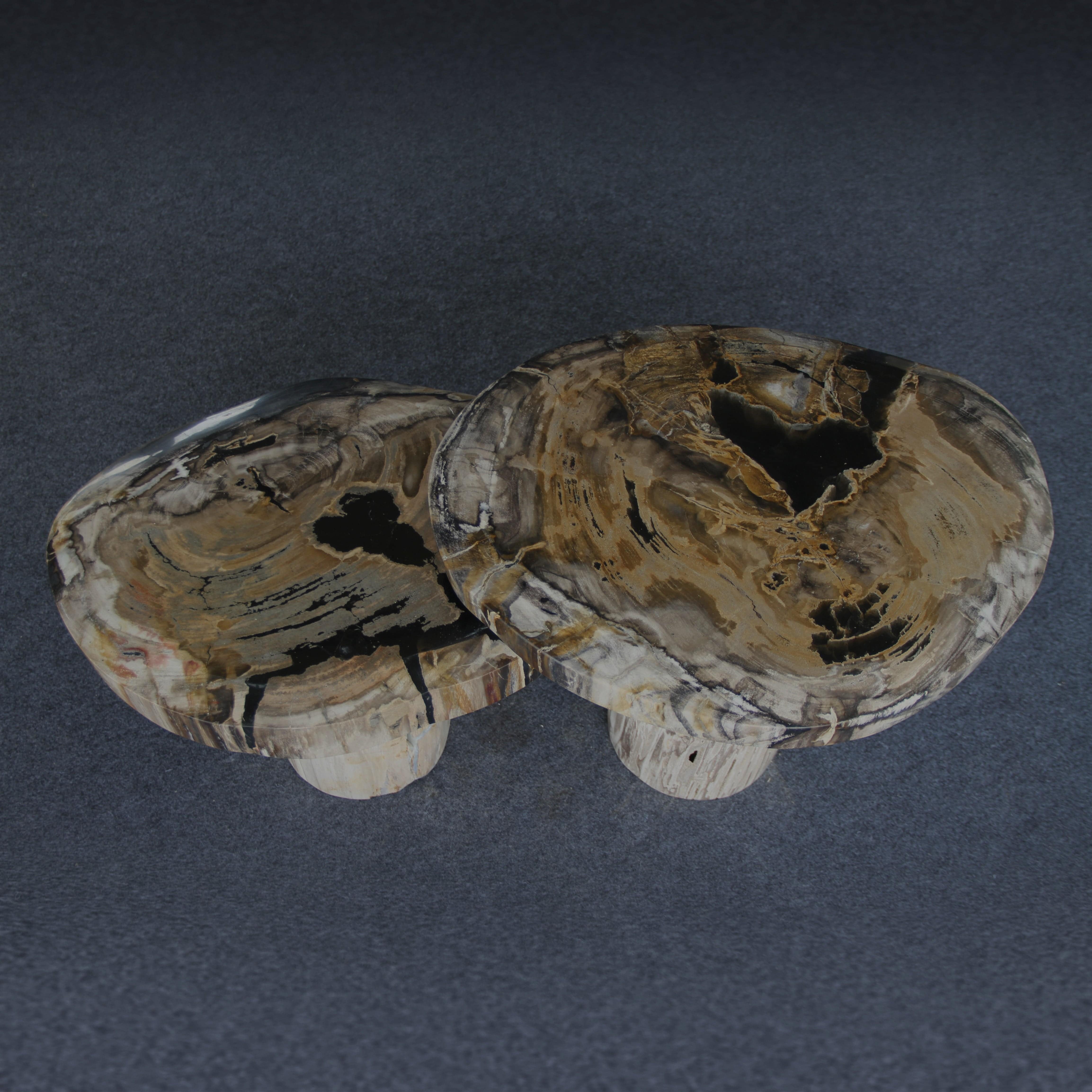 Kalifano Petrified Wood Petrified Wood Mushroom Side (Table B) 15" / 101 lbs PWMT7200.001