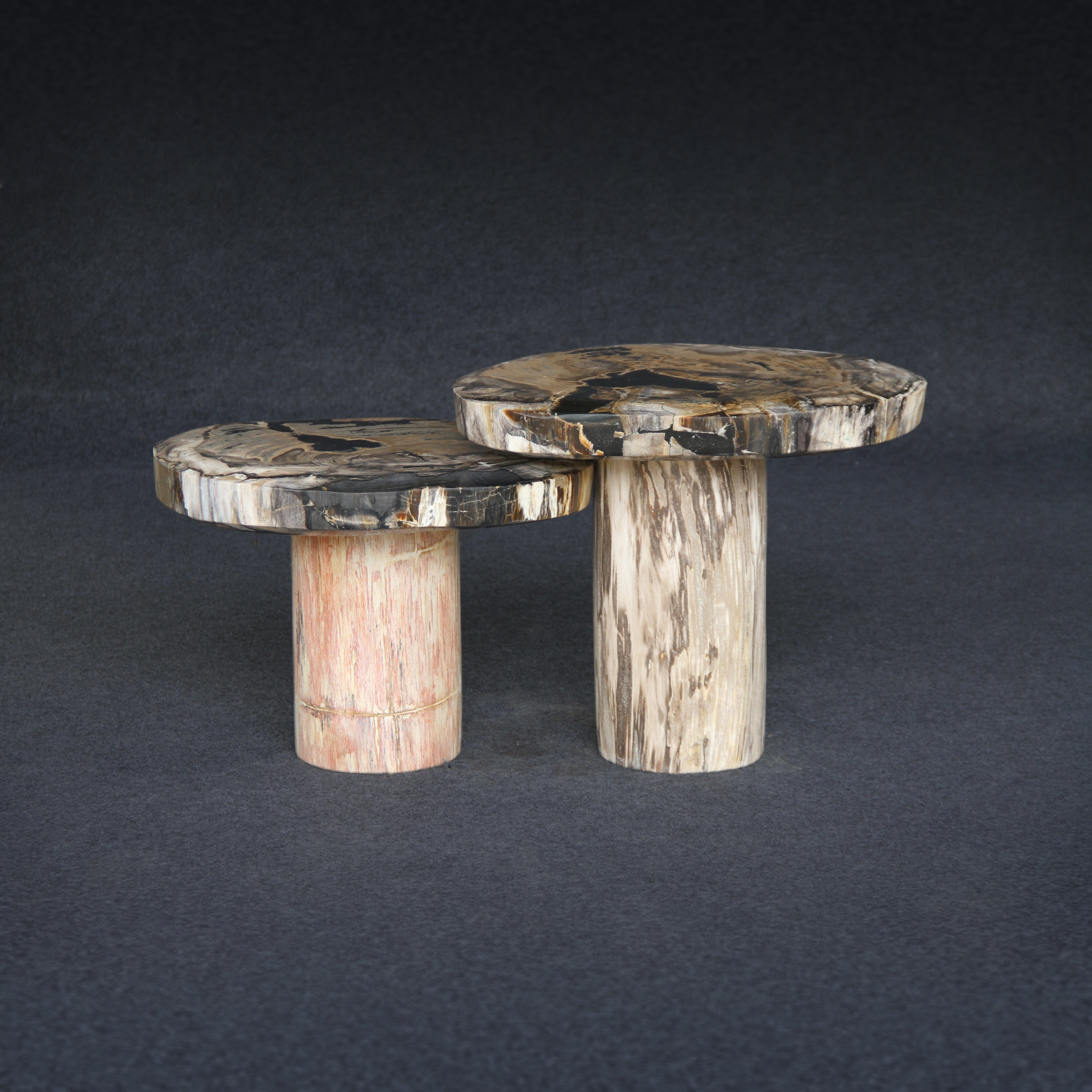 Kalifano Petrified Wood Petrified Wood Mushroom Side (Table B) 15" / 101 lbs PWMT7200.001