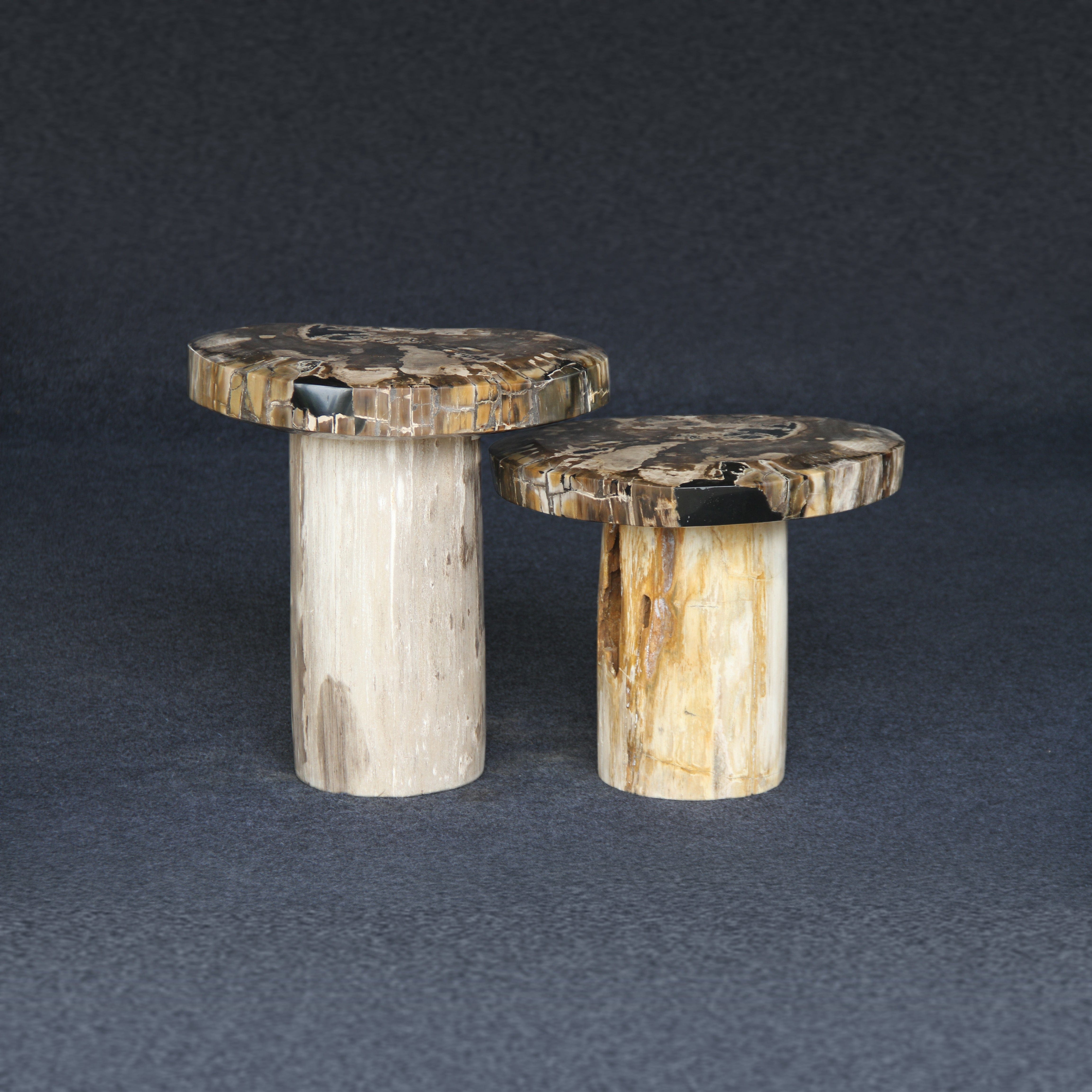 Kalifano Petrified Wood Petrified Wood Mushroom Side (Table B) 15" / 93 lbs PWMT7200.003