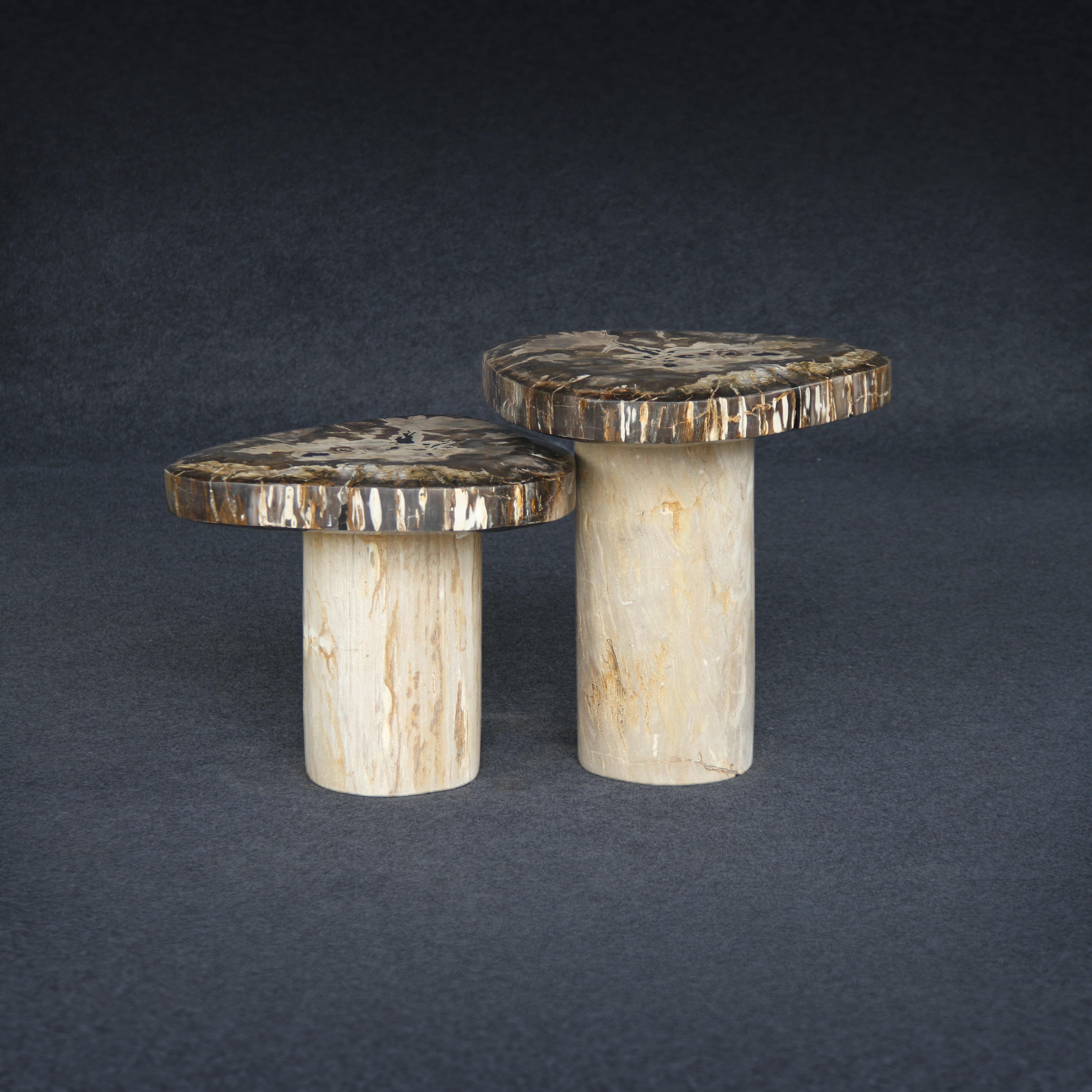 Kalifano Petrified Wood Petrified Wood Mushroom Side (Table B) 15" / 97 lbs PWMT7200.002