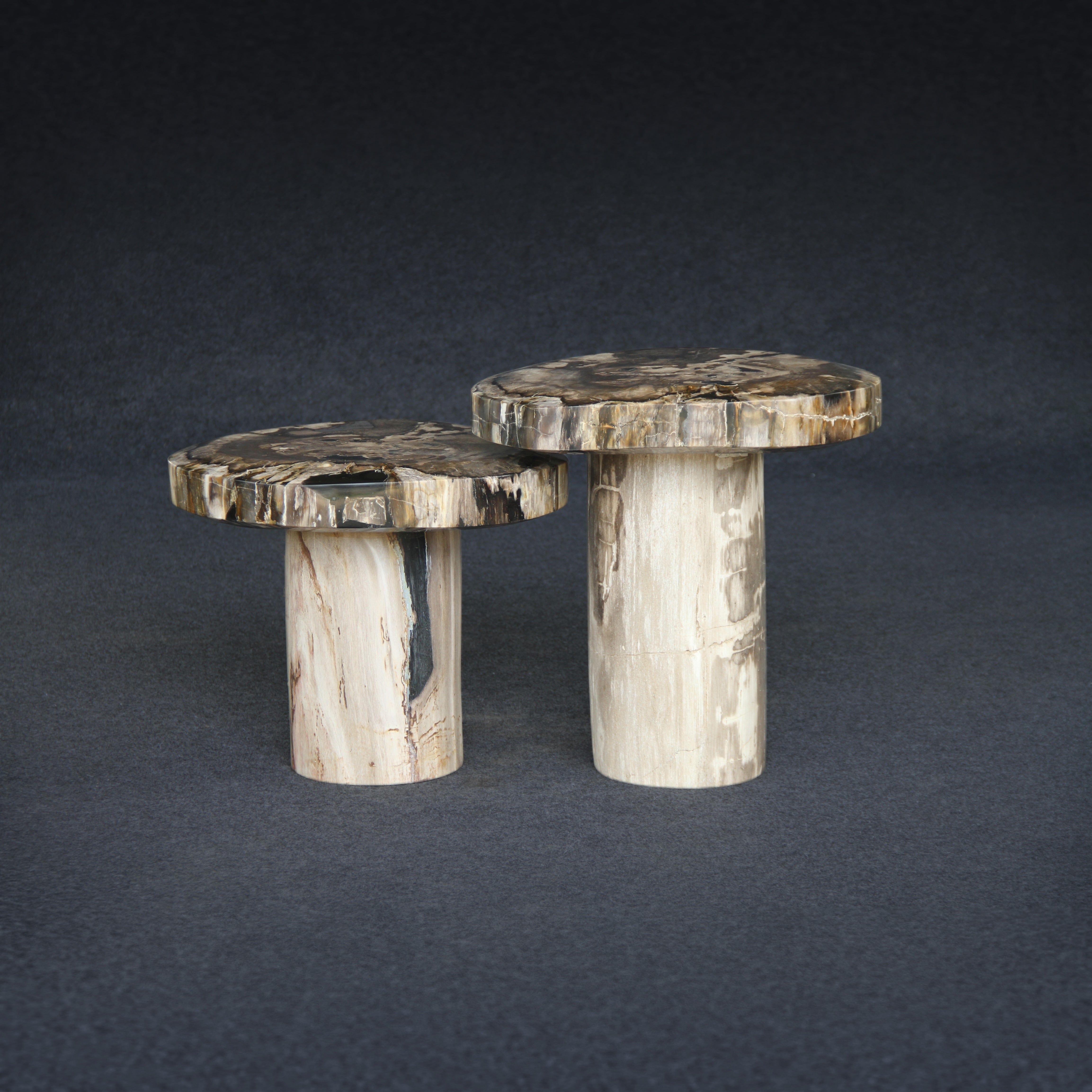 Kalifano Petrified Wood Petrified Wood Mushroom Side (Table B) 19" / 119 lbs PWMT10200.002