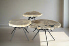 Petrified Wood Round Coffee (Table A) 19