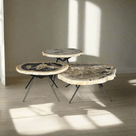 Petrified Wood Round Coffee (Table A) 26