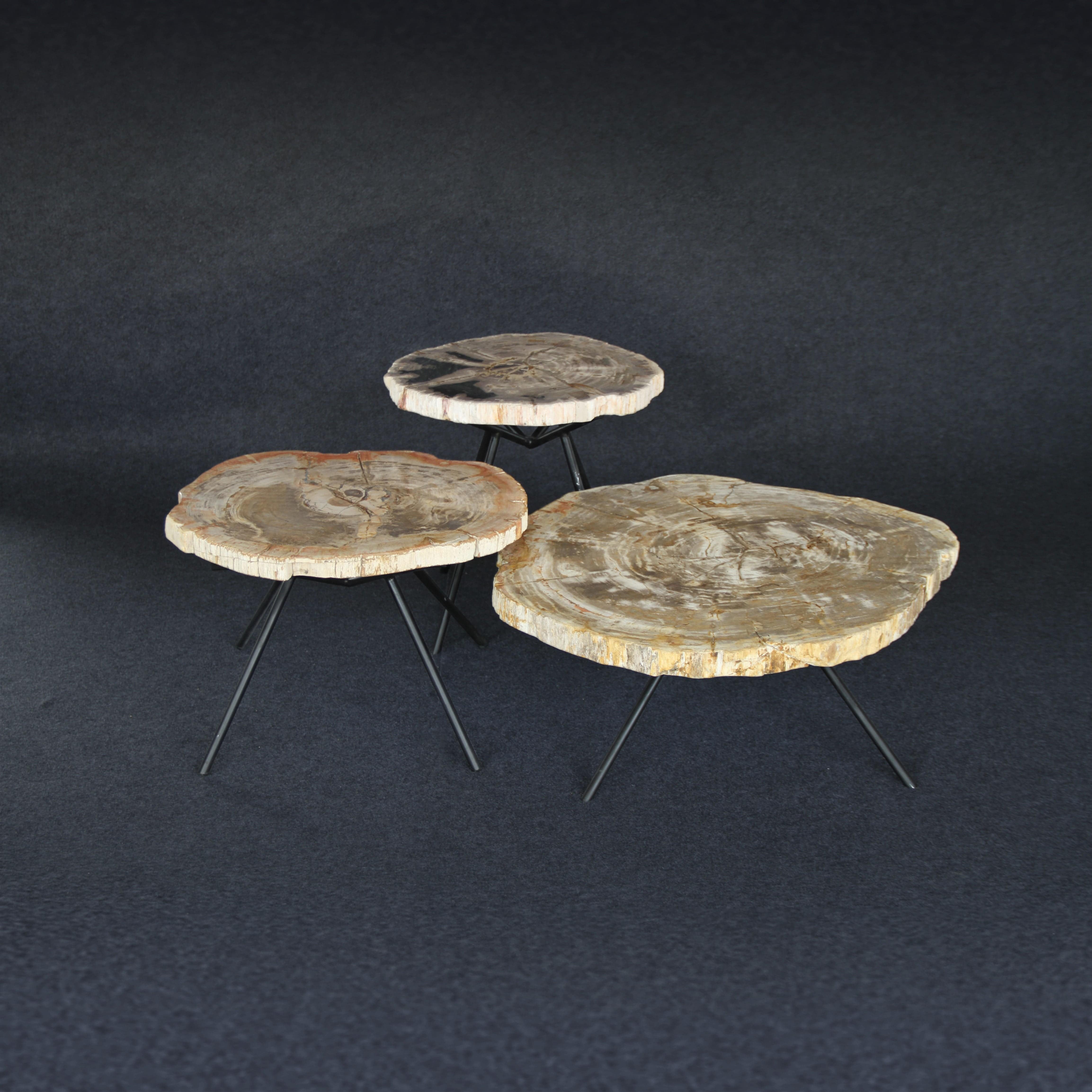Kalifano Petrified Wood Petrified Wood Round Coffee (Table A) 34" / 128 lbs PWT6600.003