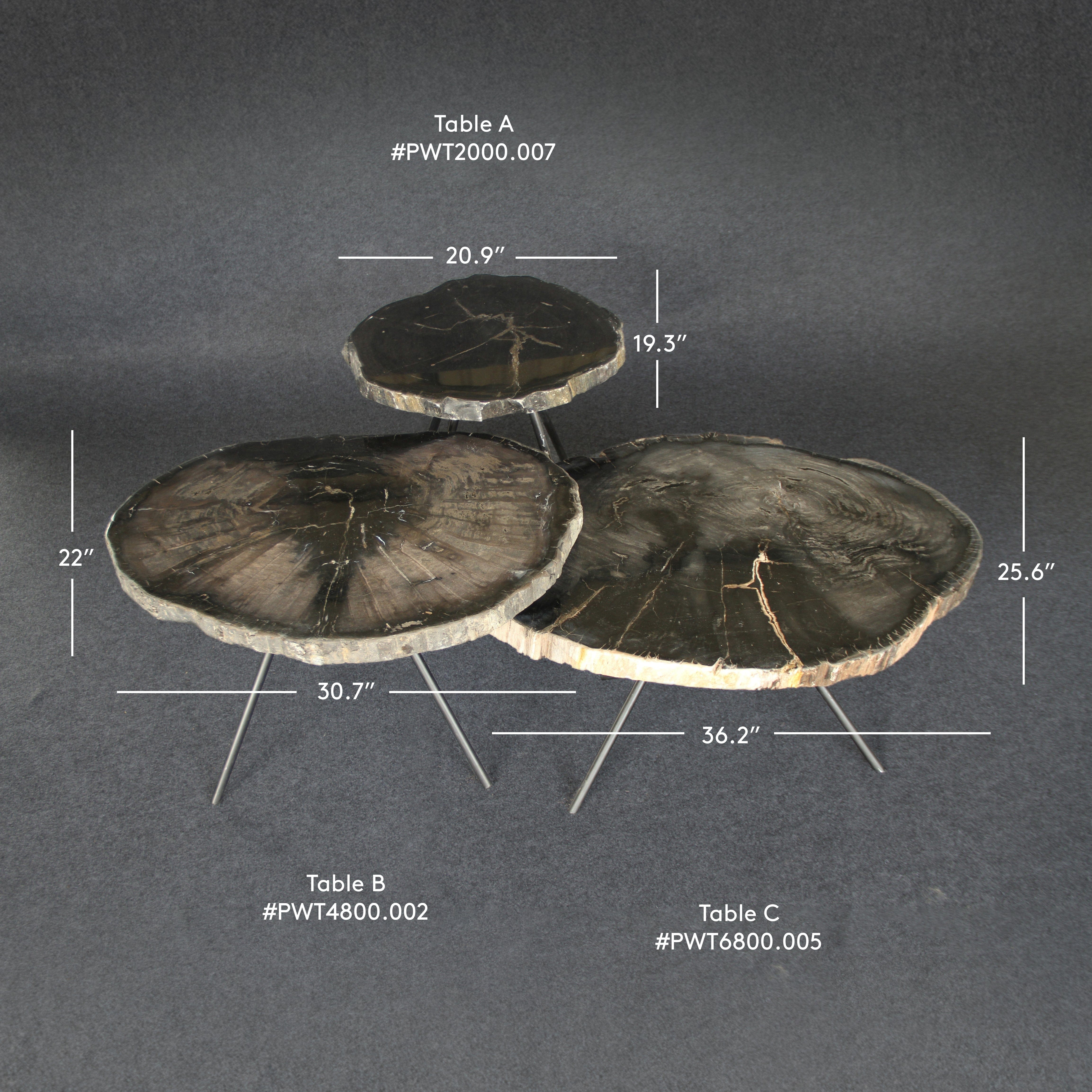 Kalifano Petrified Wood Petrified Wood Round Coffee (Table A) 36" / 130 lbs PWT6800.005