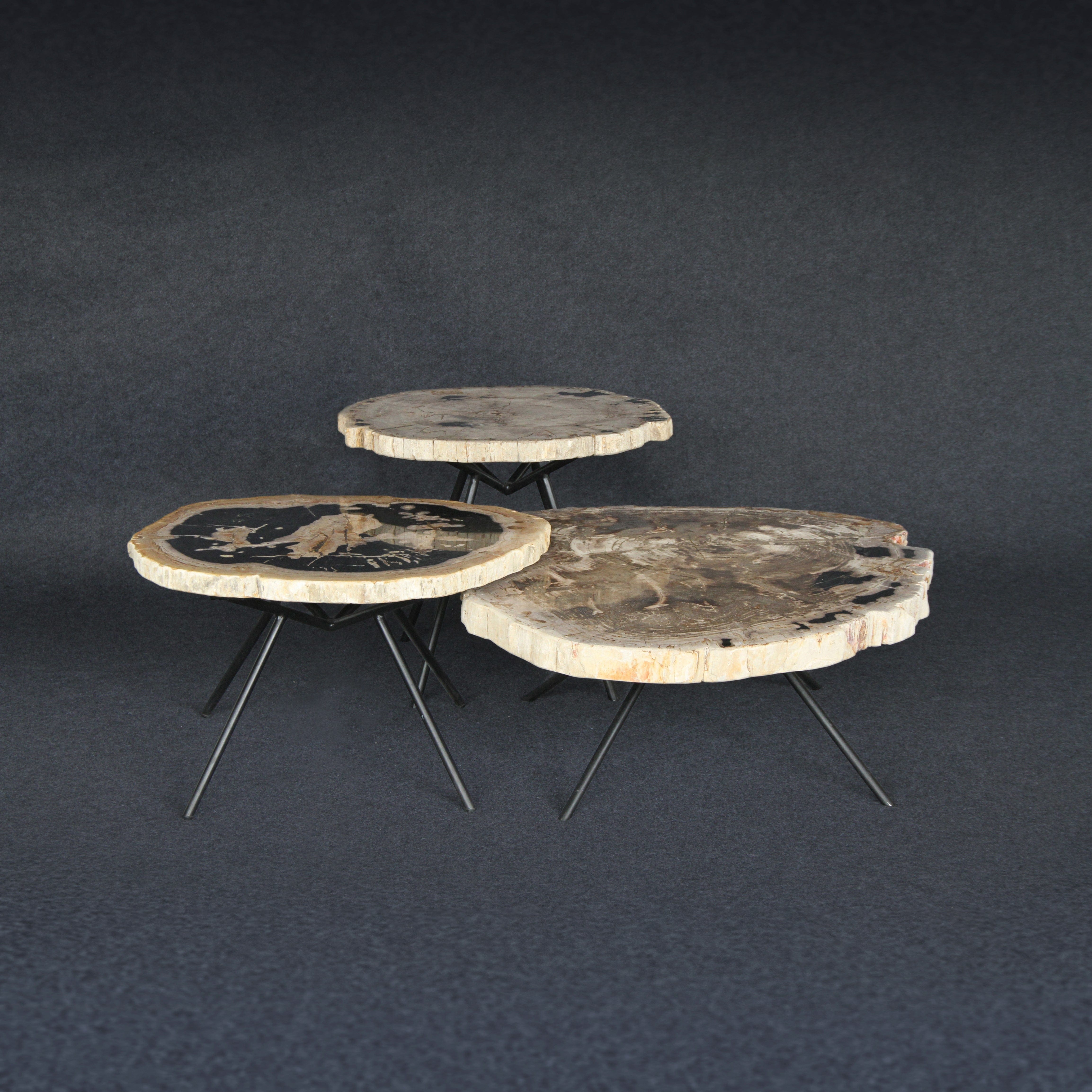 Kalifano Petrified Wood Petrified Wood Round Coffee (Table A) 36" / 194 lbs PWT10000.008