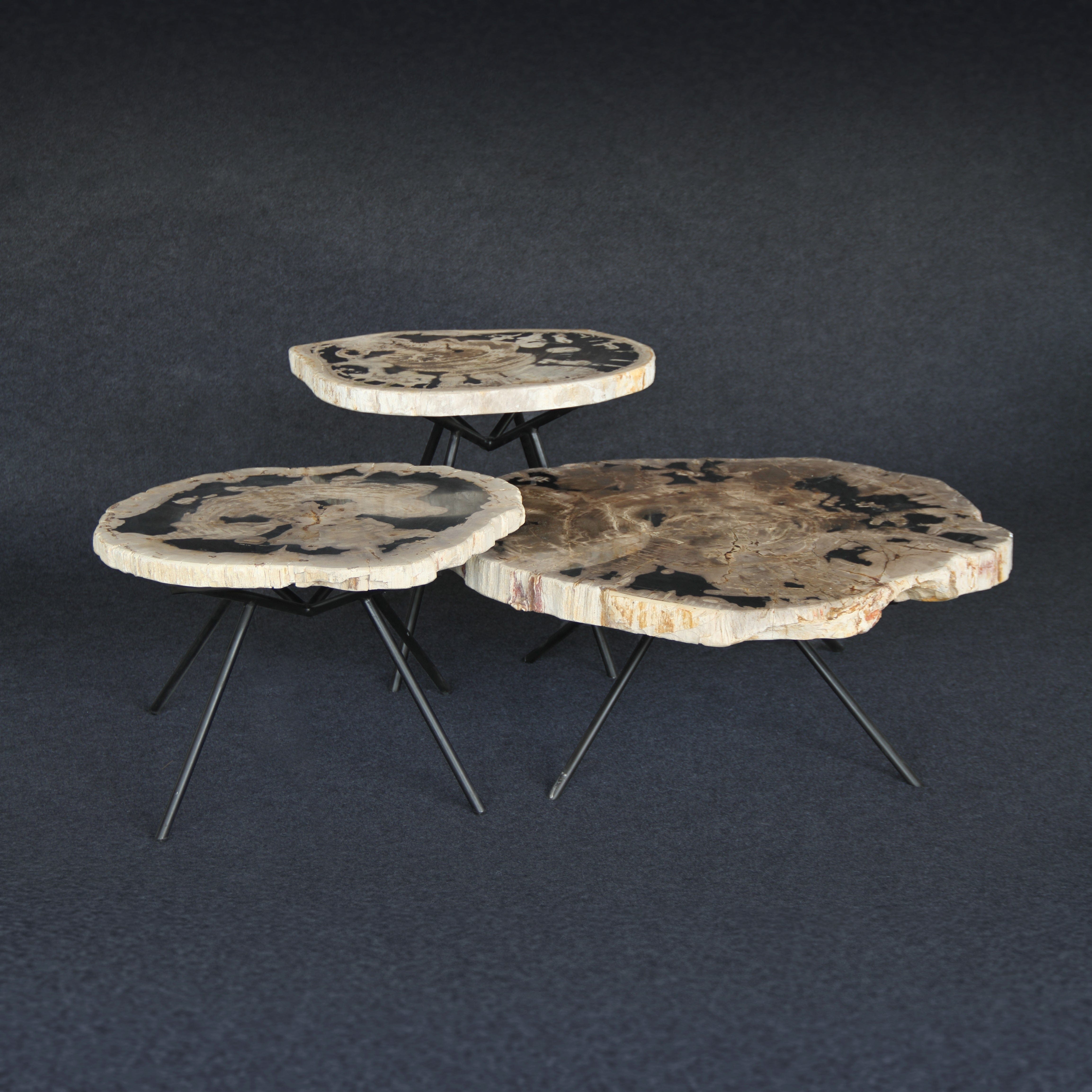 Kalifano Petrified Wood Petrified Wood Round Coffee (Table A) 37" / 174 lbs PWT9000.004