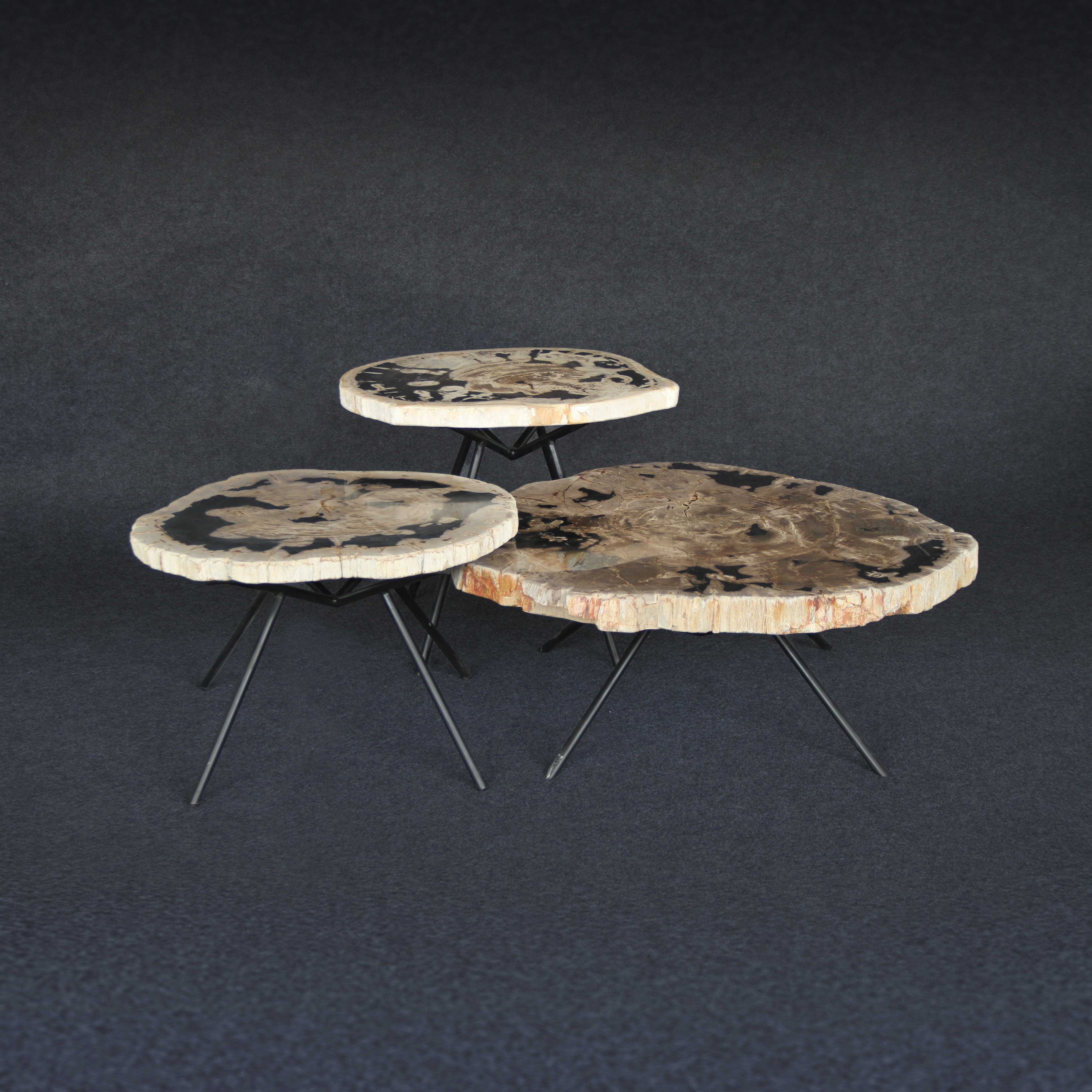 Kalifano Petrified Wood Petrified Wood Round Coffee (Table A) 37" / 174 lbs PWT9000.004