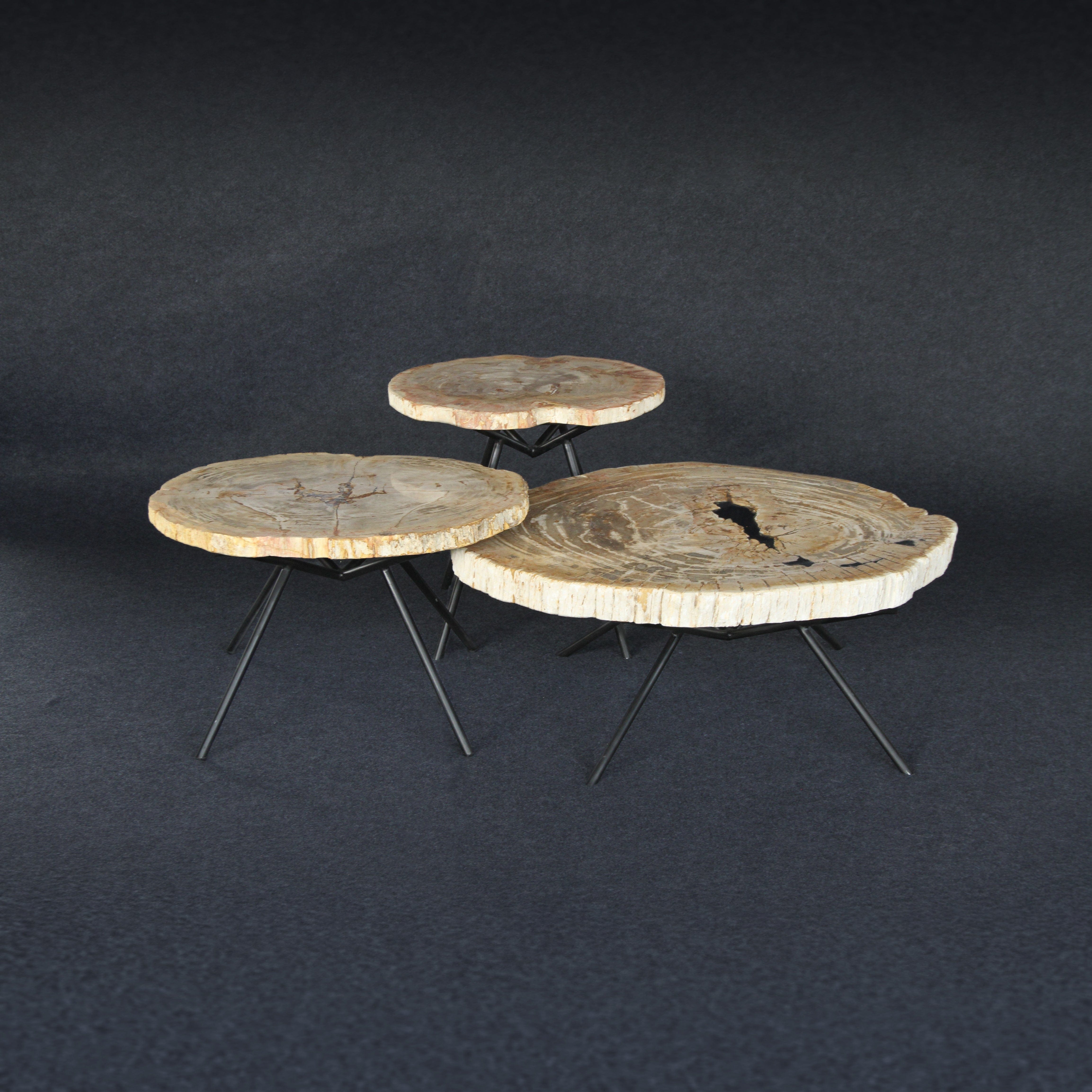 Kalifano Petrified Wood Petrified Wood Round Coffee (Table A) 37" / 187 lbs PWT9600.008