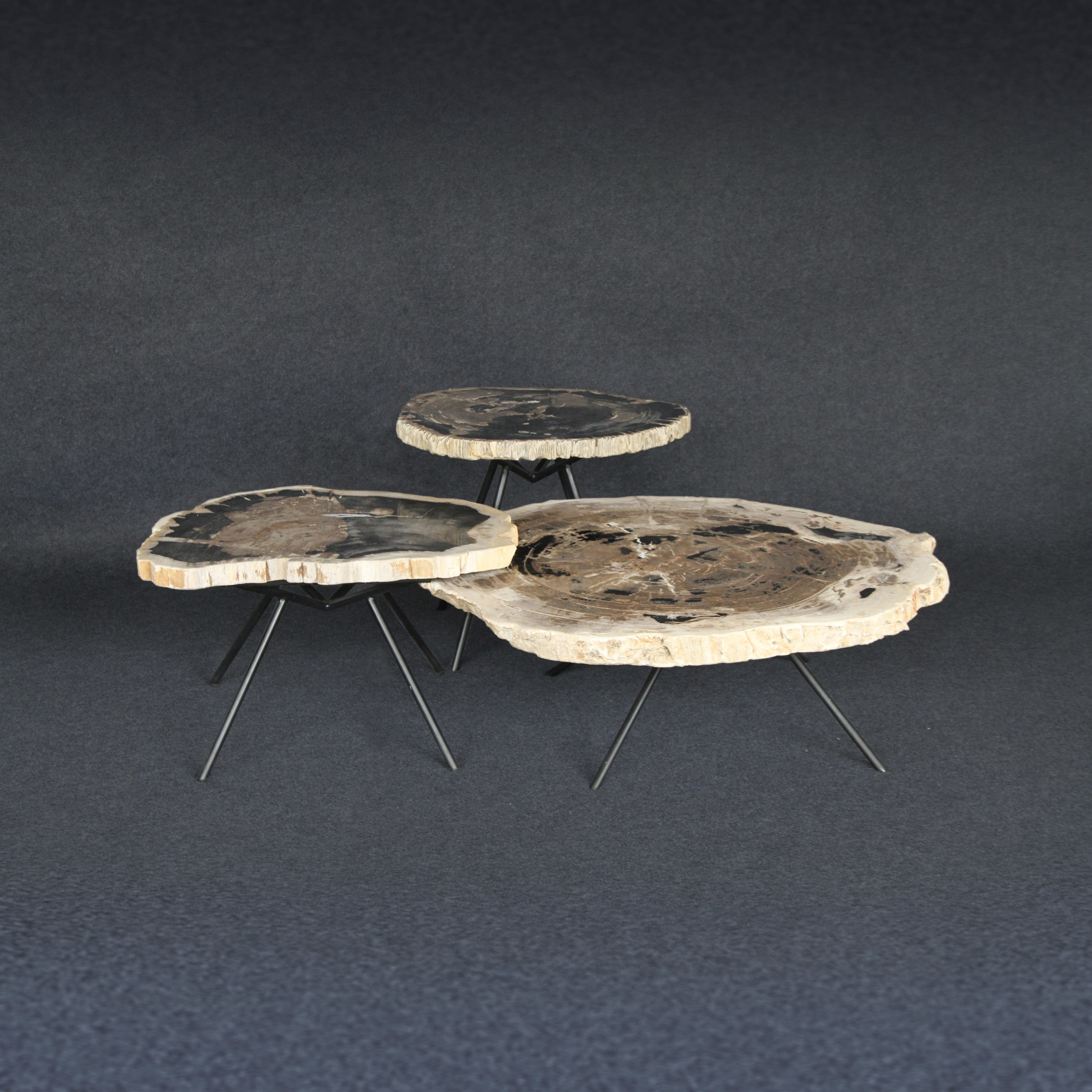 Kalifano Petrified Wood Petrified Wood Round Coffee (Table A) 38" / 198 lbs PWT10200.004