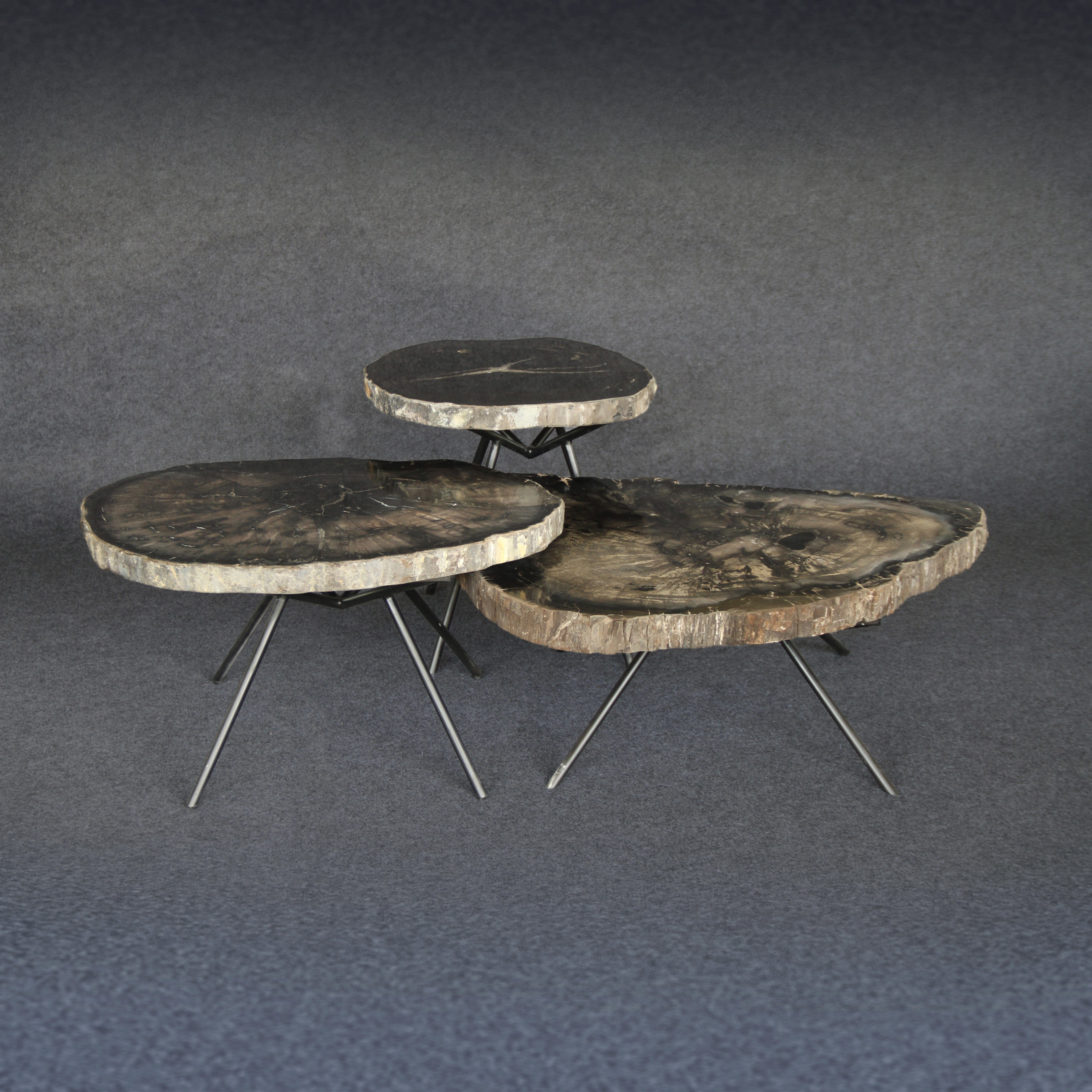 Kalifano Petrified Wood Petrified Wood Round Coffee (Table A) 39" / 143 lbs PWT7400.003