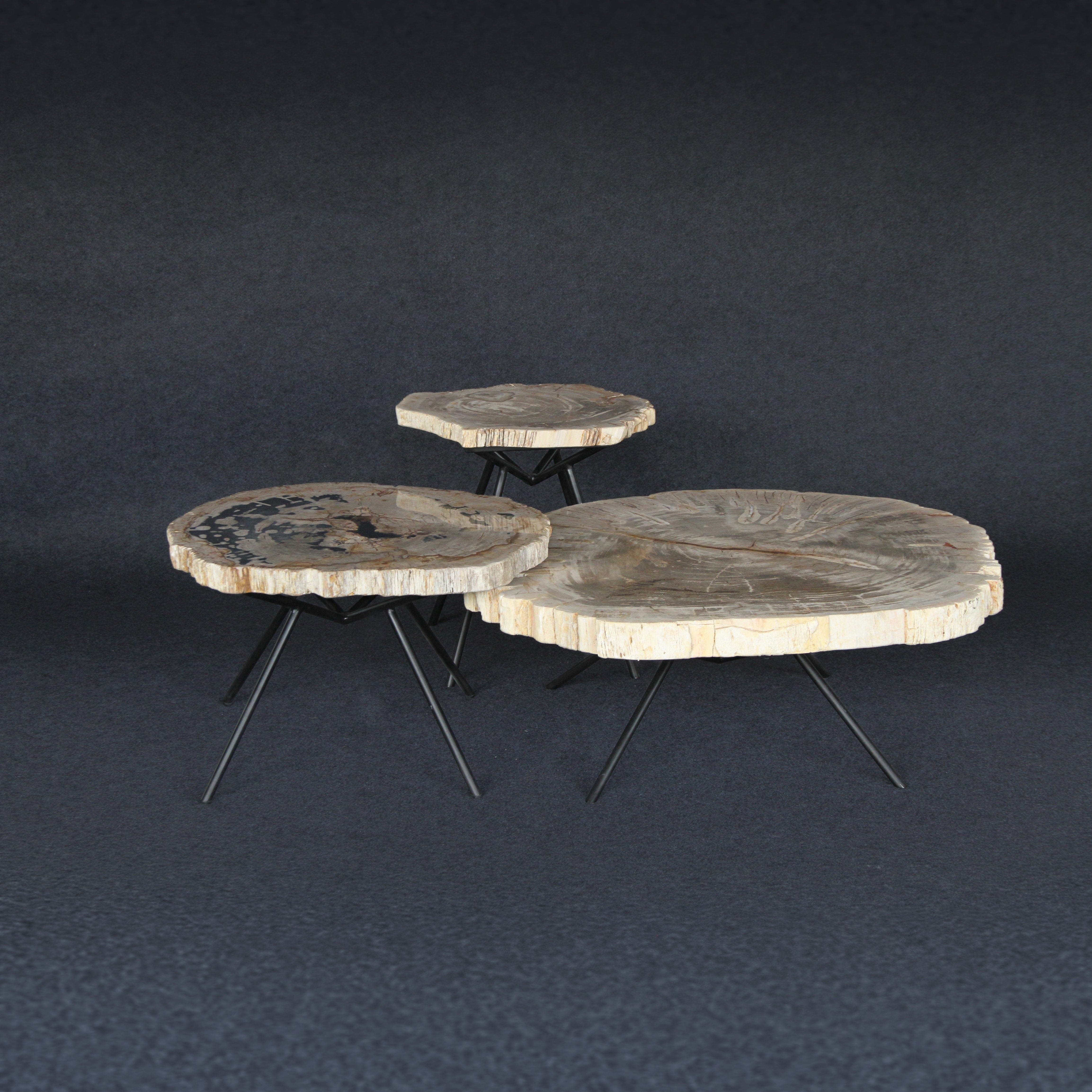 Kalifano Petrified Wood Petrified Wood Round Coffee (Table A) 40" / 229 lbs PWT11800.001