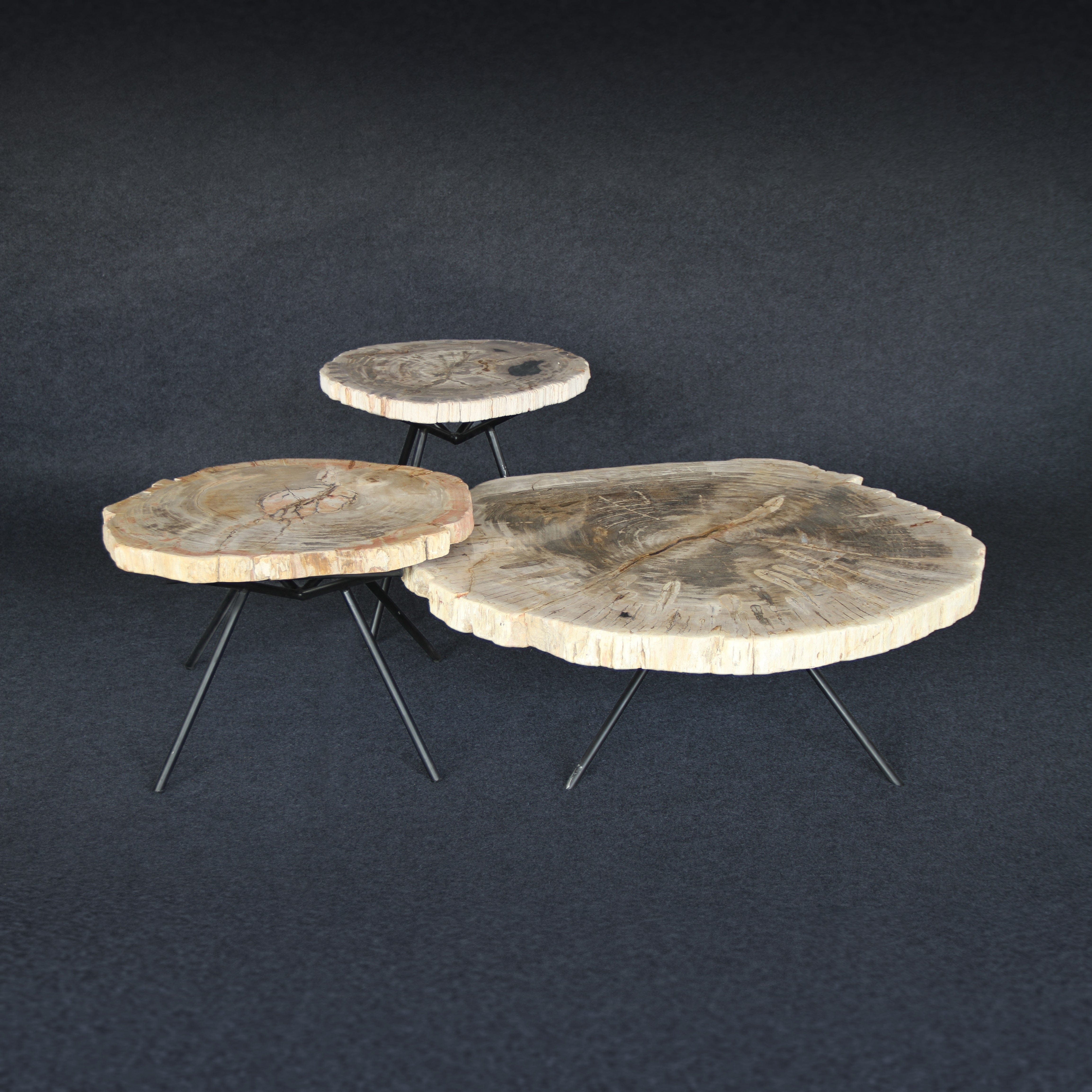 Kalifano Petrified Wood Petrified Wood Round Coffee (Table A) 41" / 236 lbs PWT12000.004