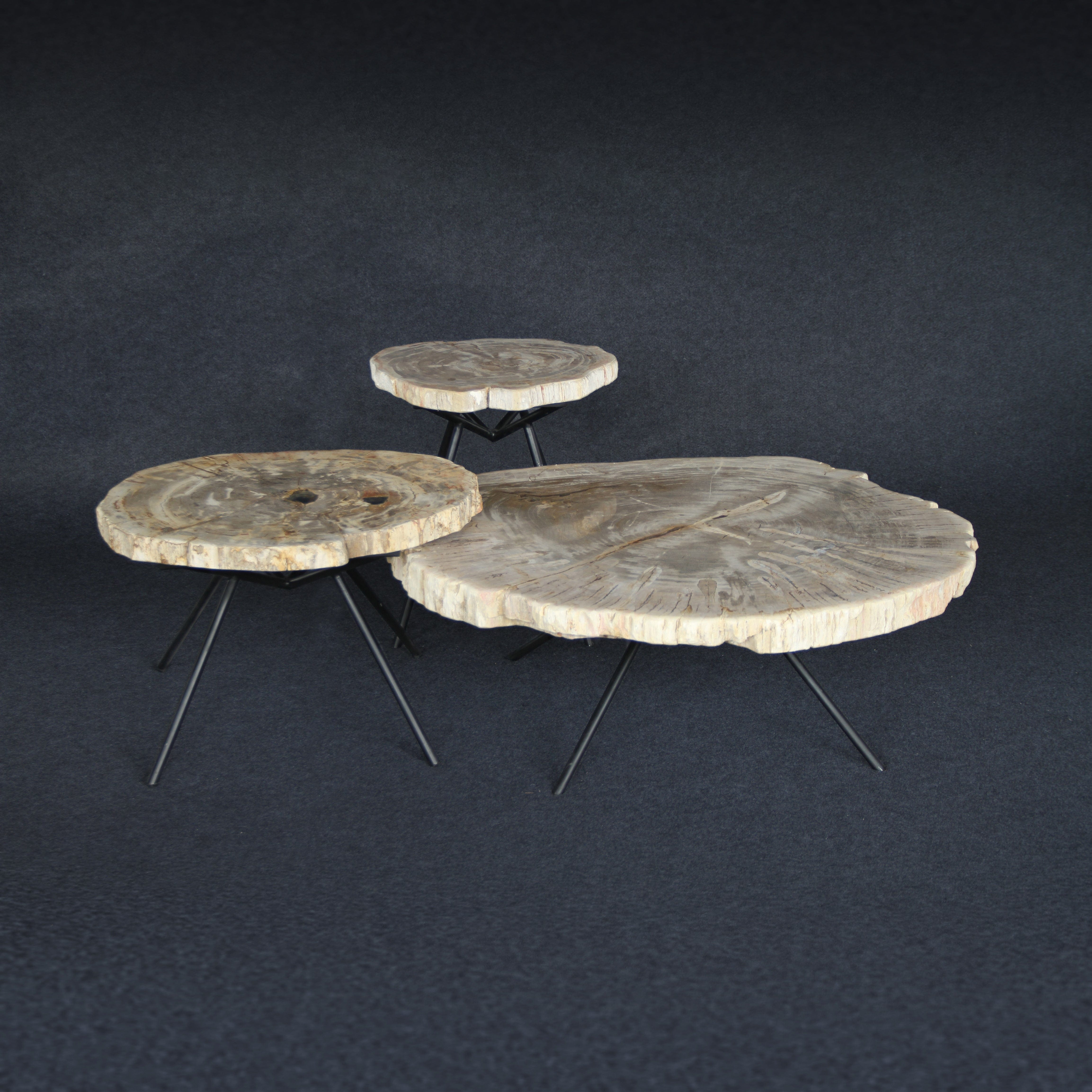 Kalifano Petrified Wood Petrified Wood Round Coffee (Table A) 41" / 236 lbs PWT12000.005
