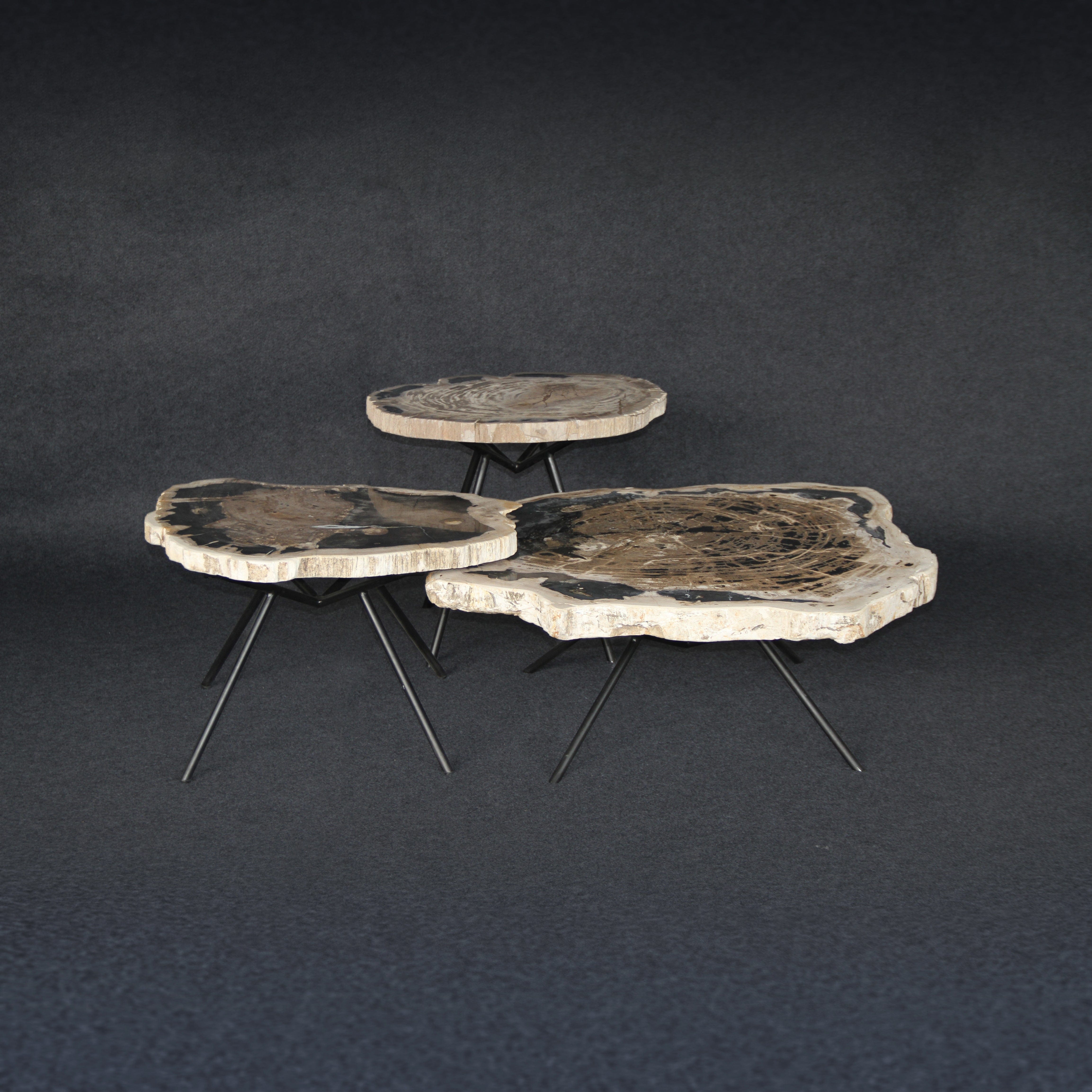 Kalifano Petrified Wood Petrified Wood Round Coffee (Table A) 42" / 194 lbs PWT10000.007