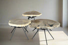 Petrified Wood Round Coffee (Table B) 24