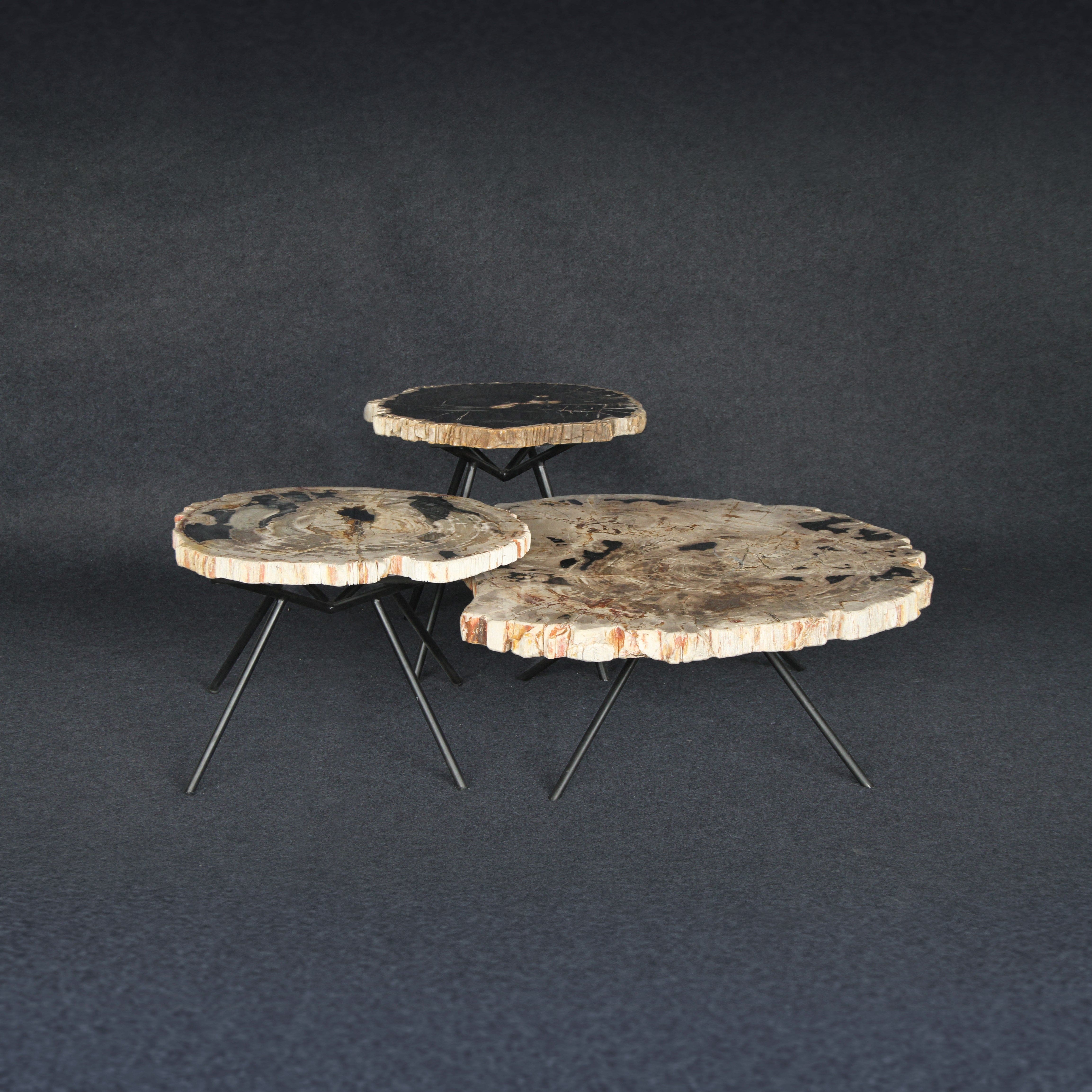 Kalifano Petrified Wood Petrified Wood Round Coffee (Table B) 25" / 53 lbs PWT2800.007