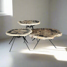 Petrified Wood Round Coffee (Table B) 26