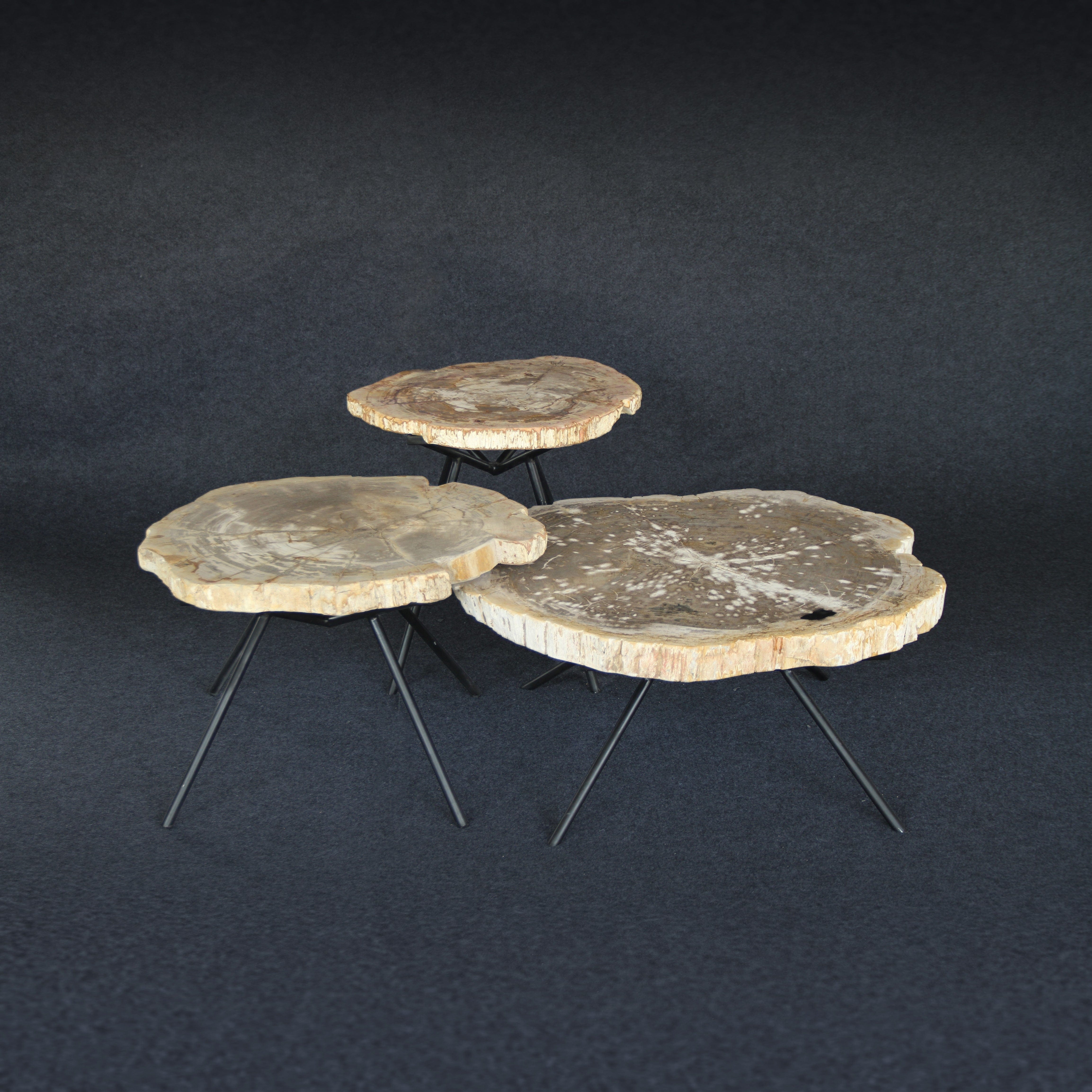 Kalifano Petrified Wood Petrified Wood Round Coffee (Table B) 26" / 64 lbs PWT3400.003