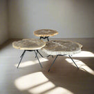 Petrified Wood Round Coffee (Table B) 26