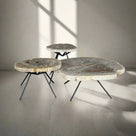 Petrified Wood Round Coffee (Table B) 26