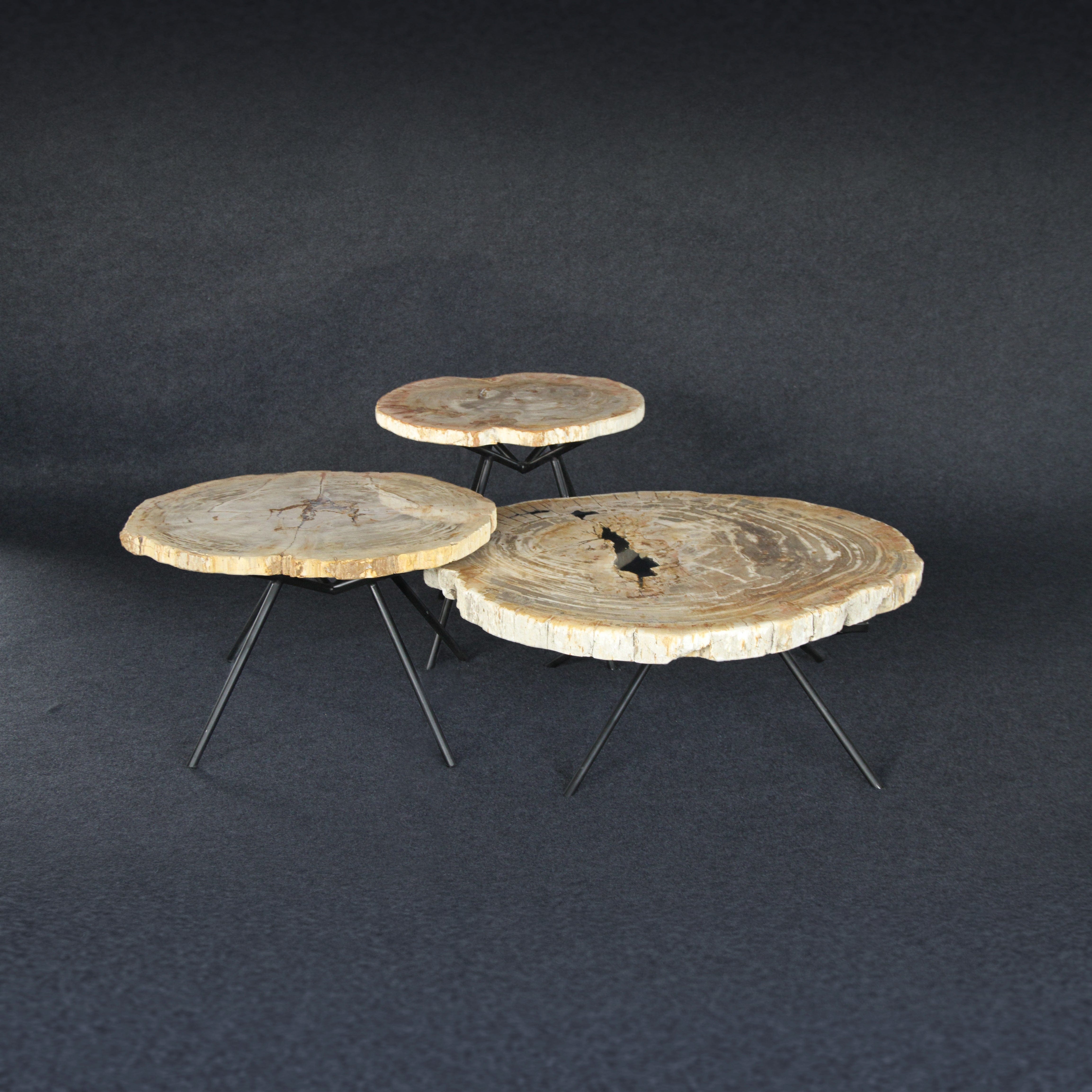 Kalifano Petrified Wood Petrified Wood Round Coffee (Table B) 27" / 60 lbs PWT3200.005