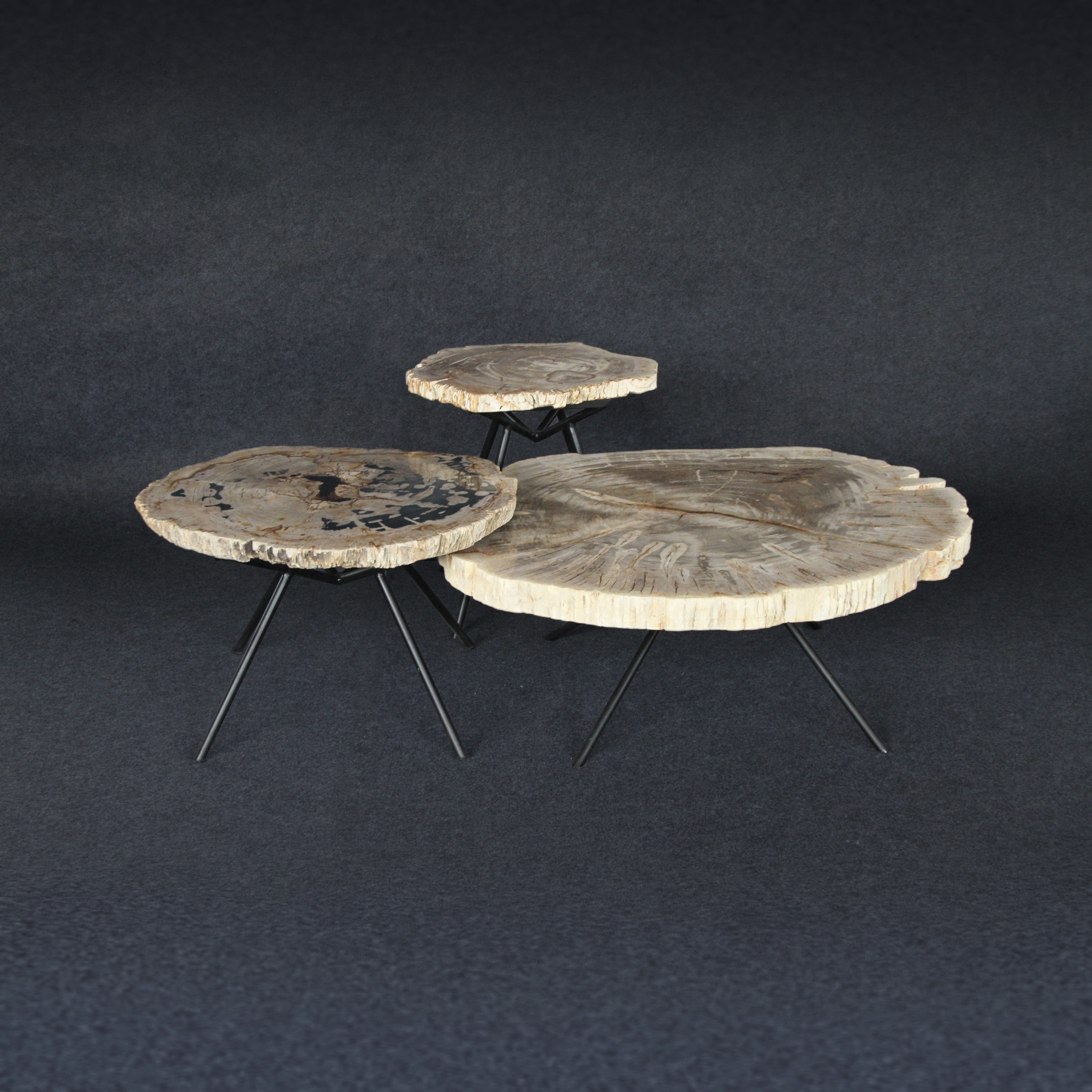 Kalifano Petrified Wood Petrified Wood Round Coffee (Table B) 28" / 88 lbs PWT4600.003