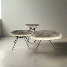 Petrified Wood Round Coffee (Table B) 28