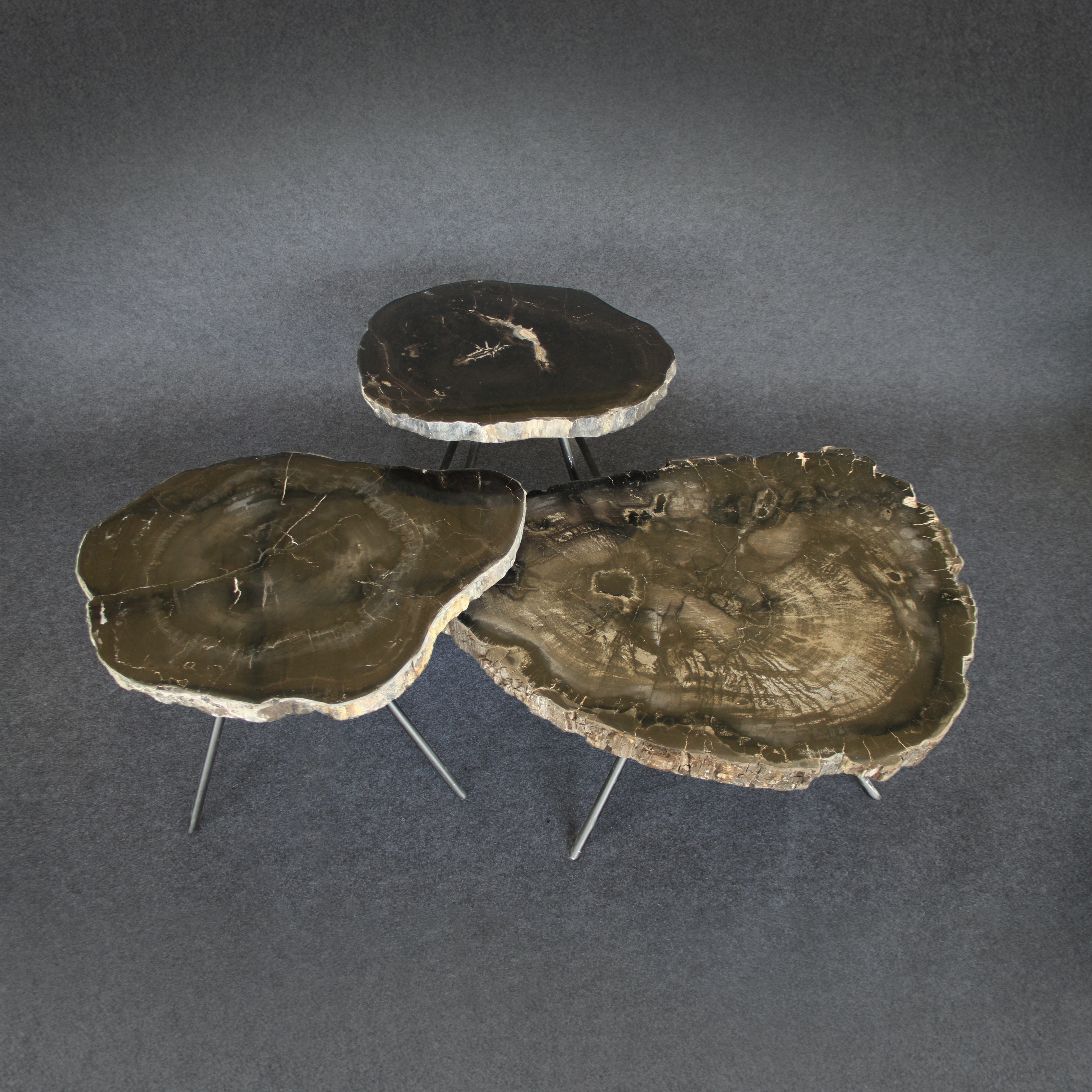 Kalifano Petrified Wood Petrified Wood Round Coffee (Table B) 30" / 60 lbs PWT3200.006
