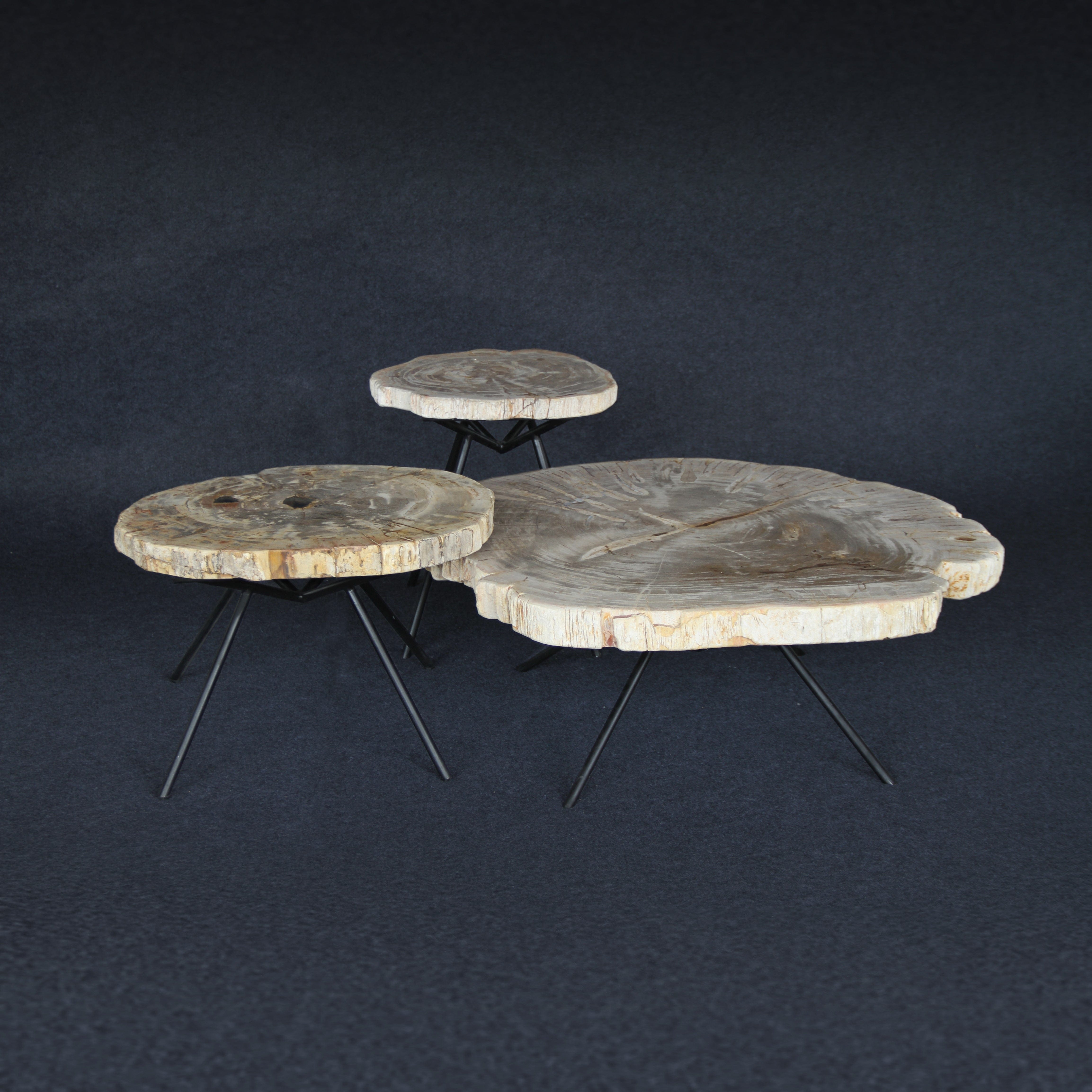 Kalifano Petrified Wood Petrified Wood Round Coffee (Table C) 20" / 31 lbs PWT1600.001