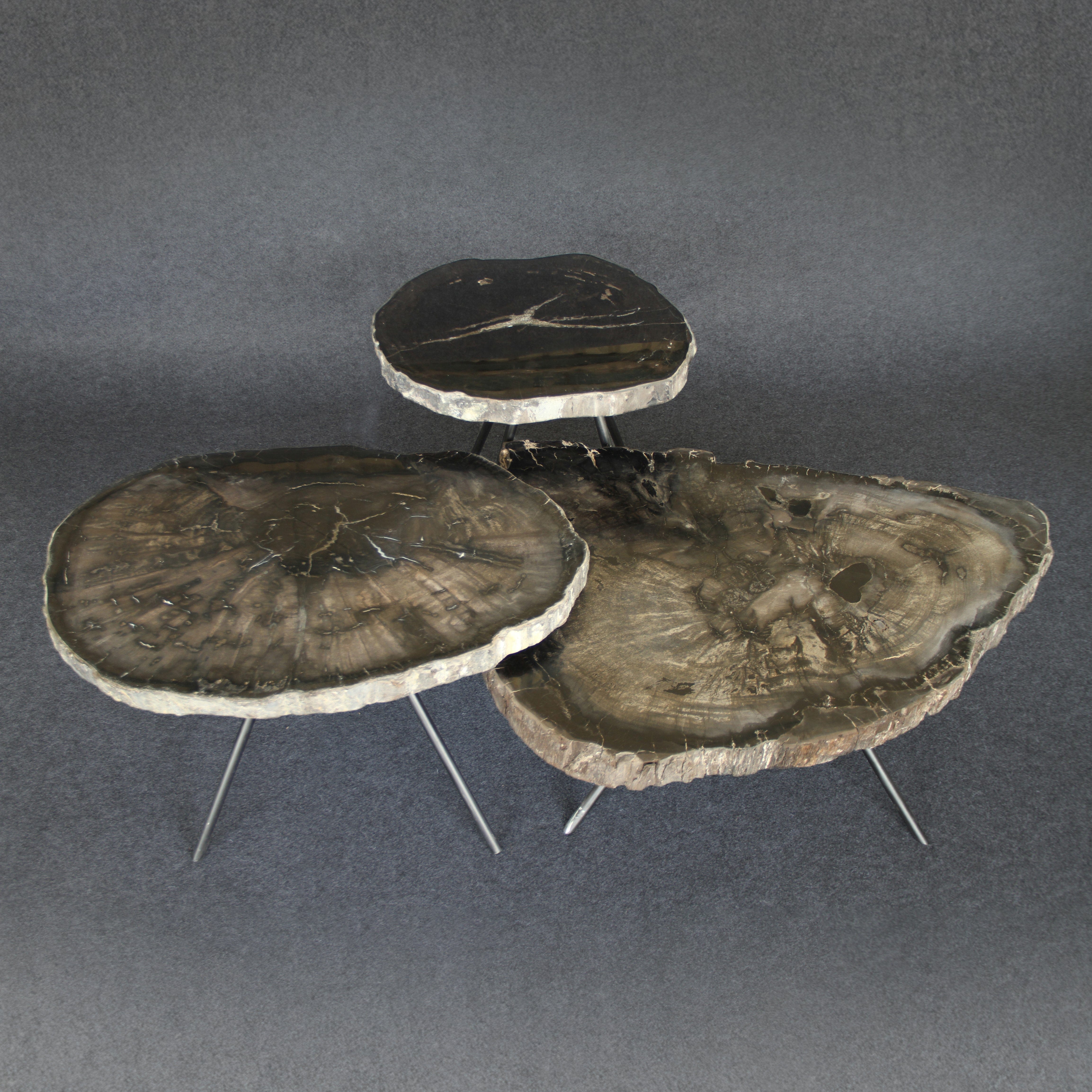 Kalifano Petrified Wood Petrified Wood Round Coffee (Table C) 21" / 49 lbs PWT2600.006