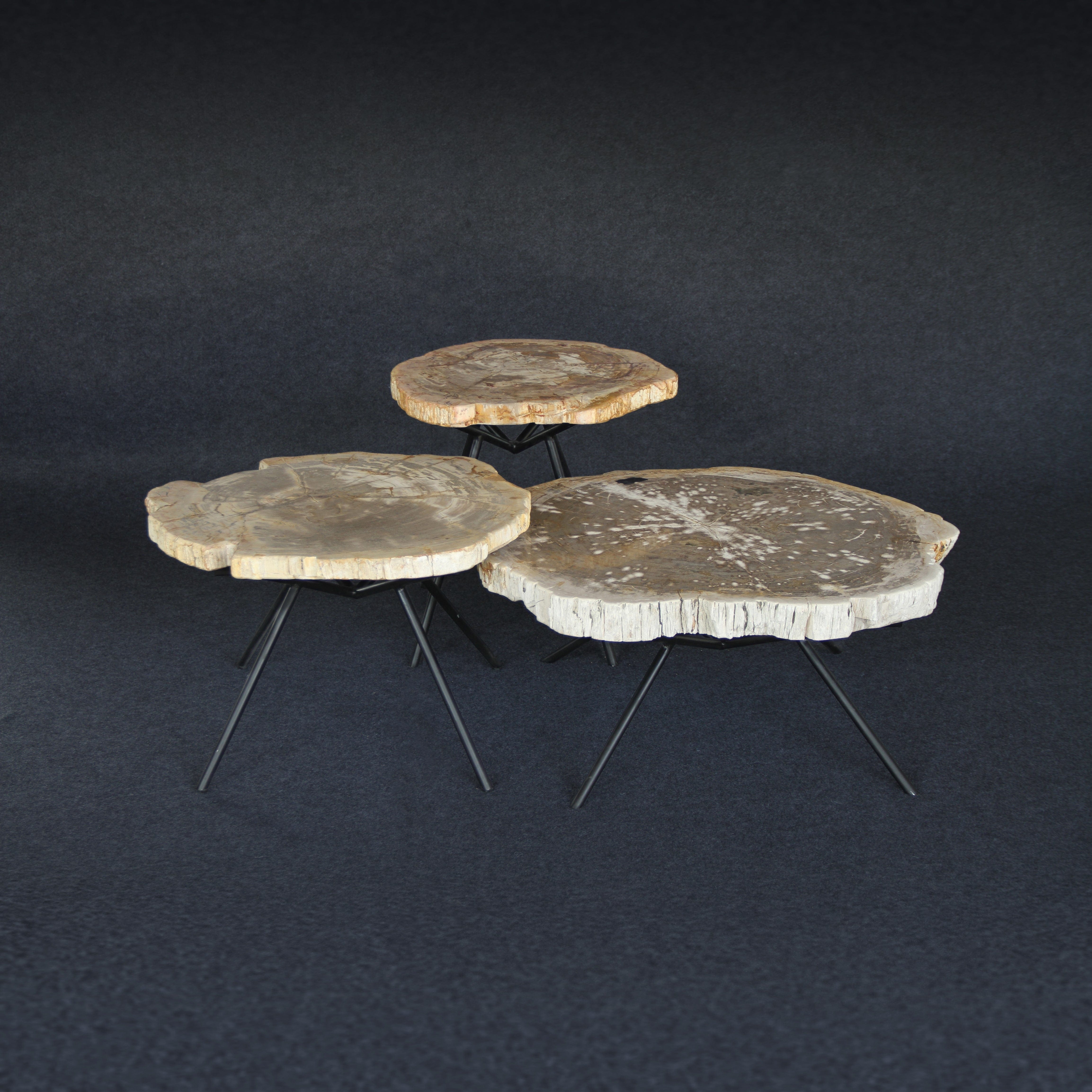 Kalifano Petrified Wood Petrified Wood Round Coffee (Table C) 22" / 40 lbs PWT2200.006