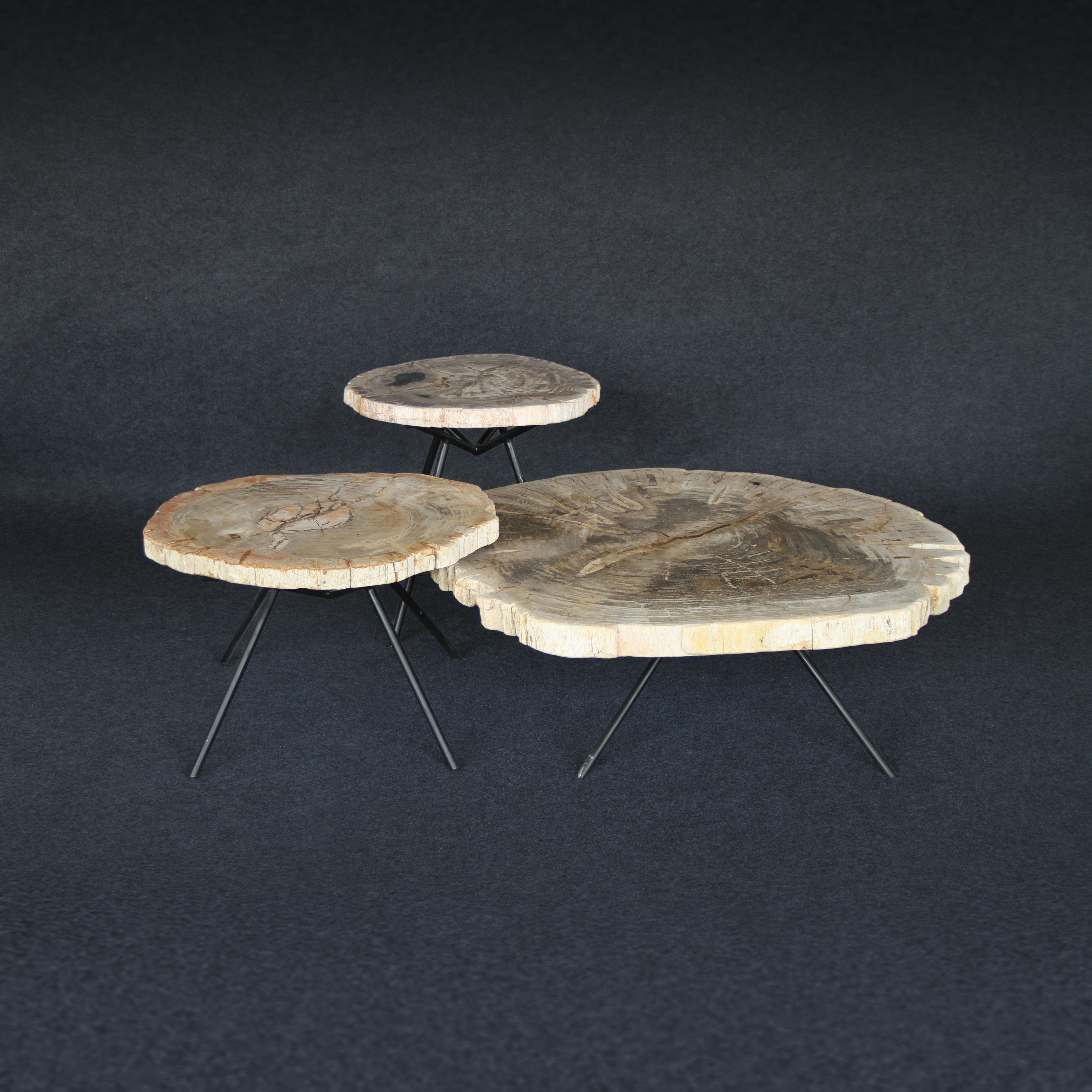 Kalifano Petrified Wood Petrified Wood Round Coffee (Table C) 22" / 42 lbs PWT2200.005