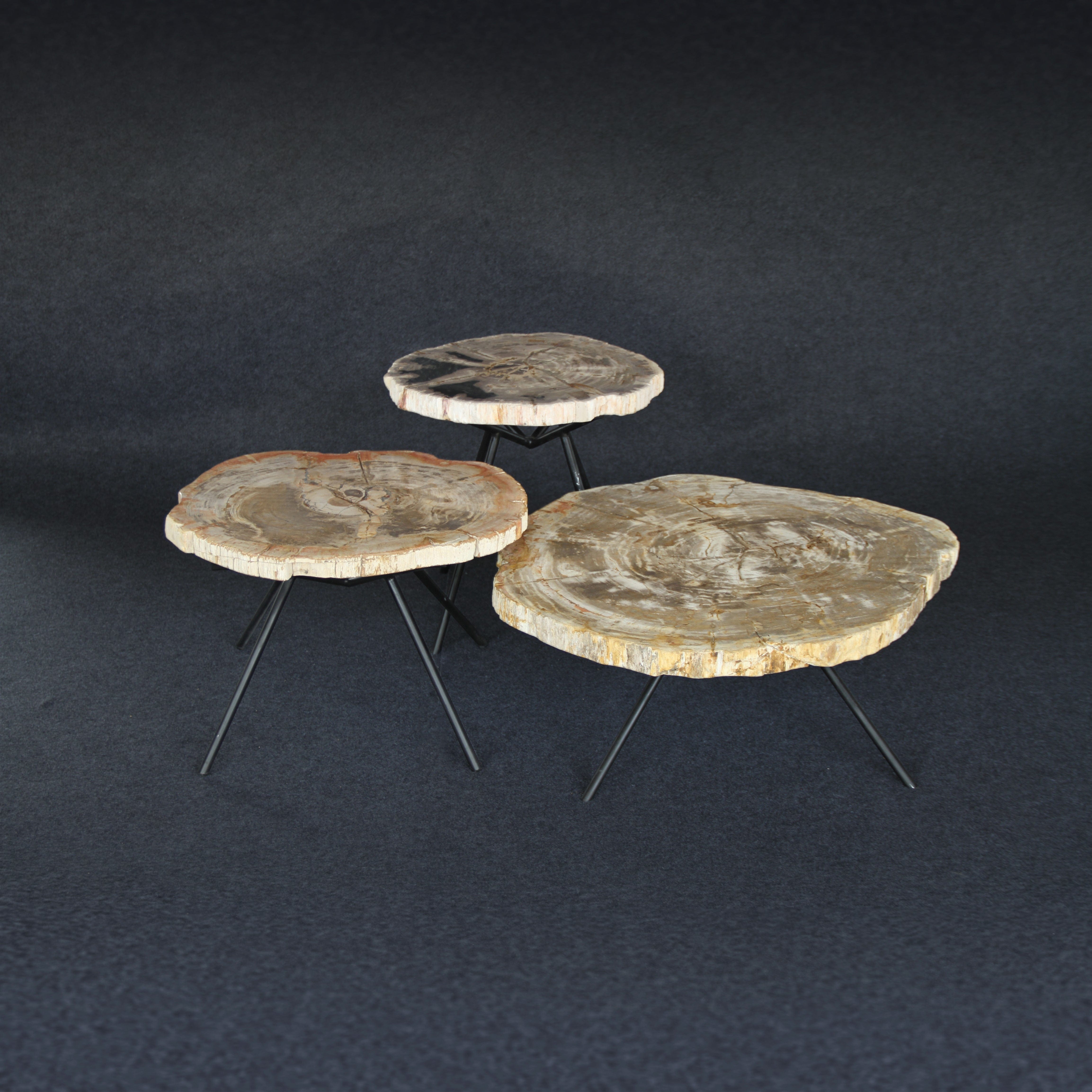Kalifano Petrified Wood Petrified Wood Round Coffee (Table C) 22" / 49 lbs PWT2600.005