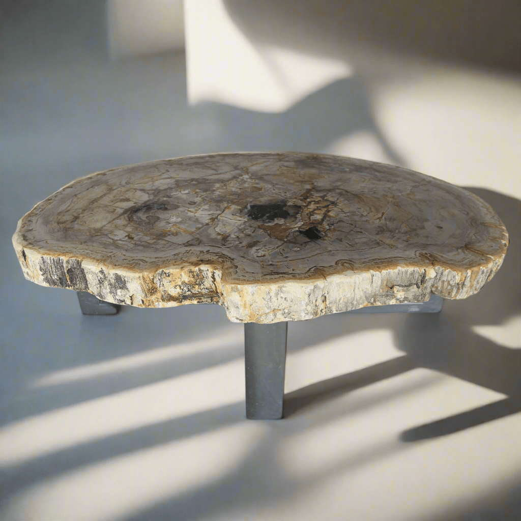 Kalifano Petrified Wood Petrified Wood Round Slab Coffee Table from Indonesia - 33" / 141 lbs PWT5200.003