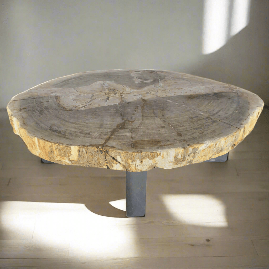 Kalifano Petrified Wood Petrified Wood Round Slab Coffee Table from Indonesia - 34" / 165 lbs PWT6000.004