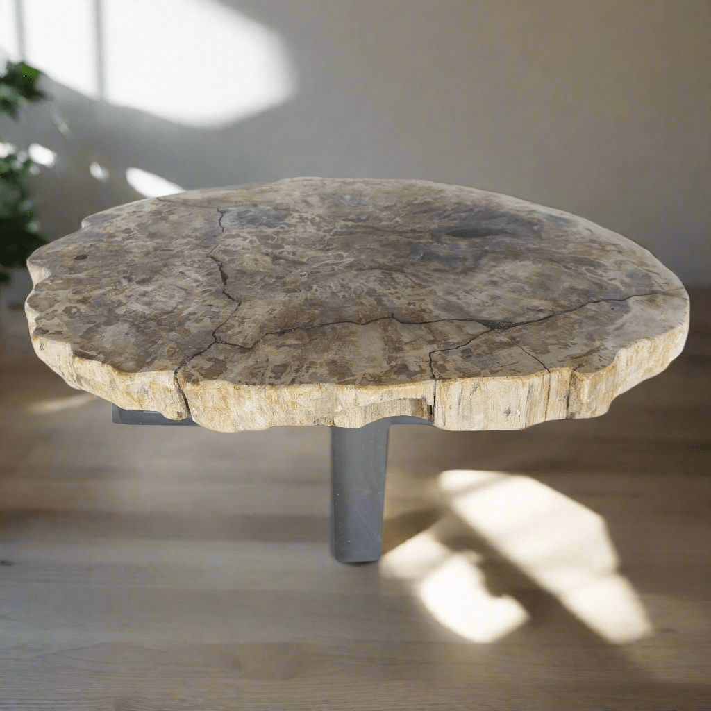 Kalifano Petrified Wood Petrified Wood Round Slab Coffee Table from Indonesia - 35" / 143 lbs PWT5200.004