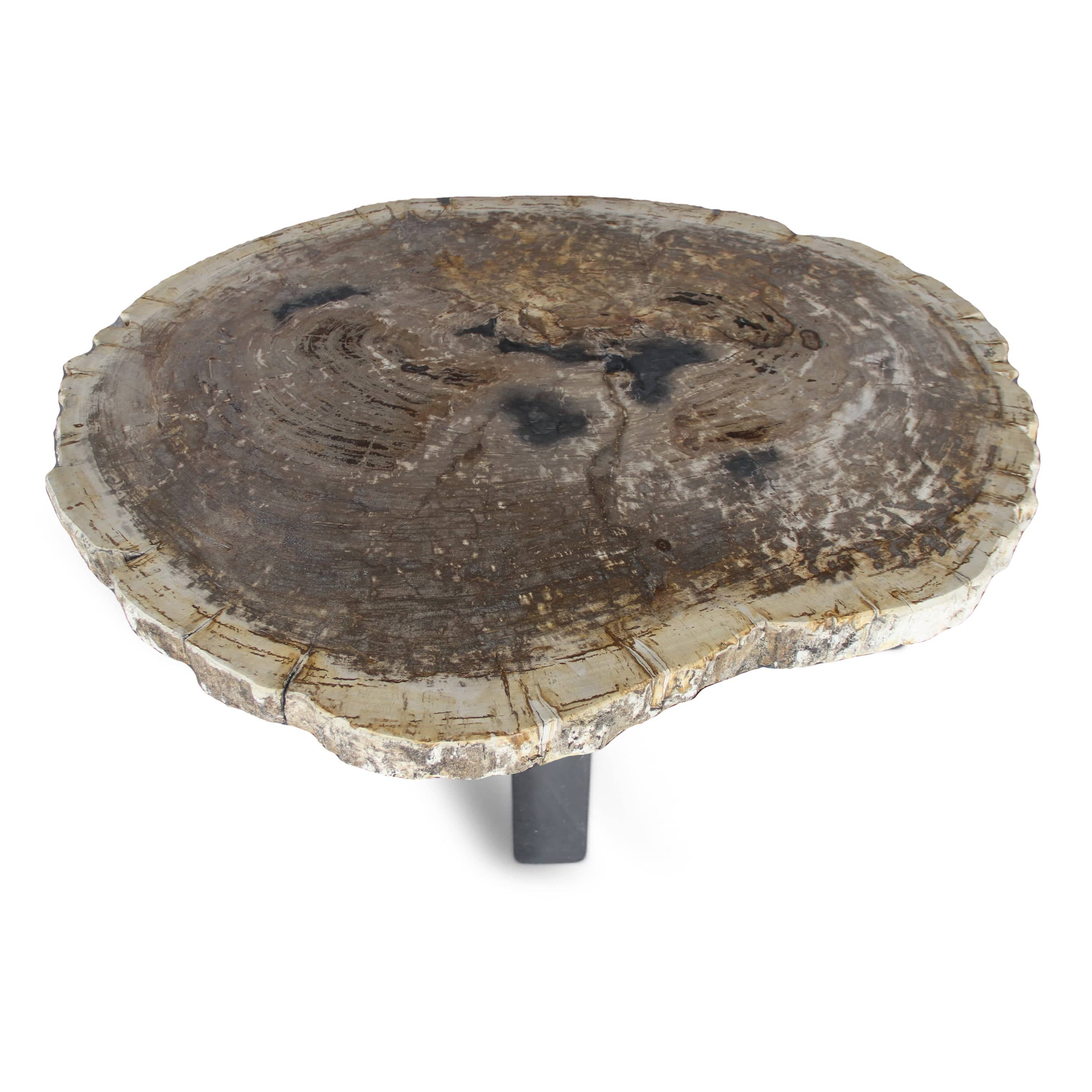 Kalifano Petrified Wood Petrified Wood Round Slab Coffee Table from Indonesia - 36" / 141 lbs PWT5200.002