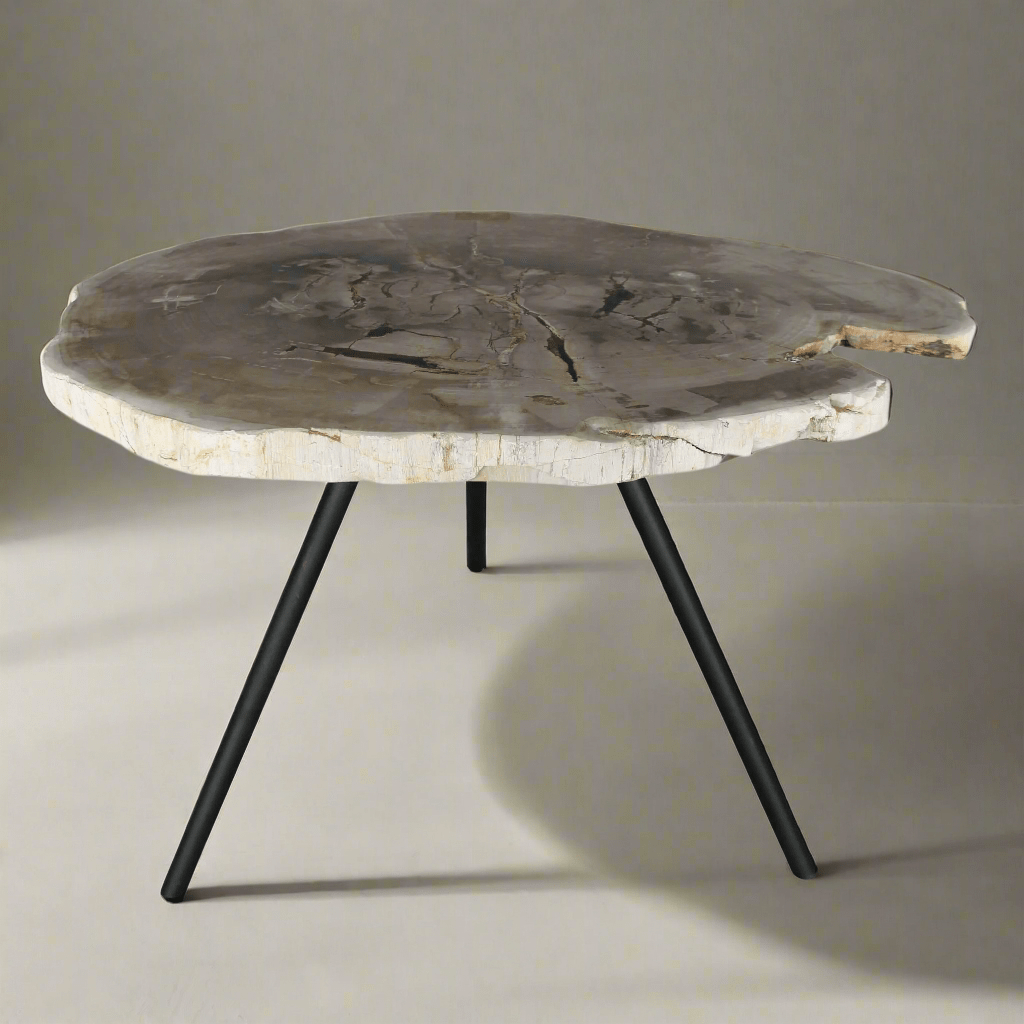 Kalifano Petrified Wood Petrified Wood Round Slice Side Table from Indonesia - 35" / 86 lbs PWT3200.002