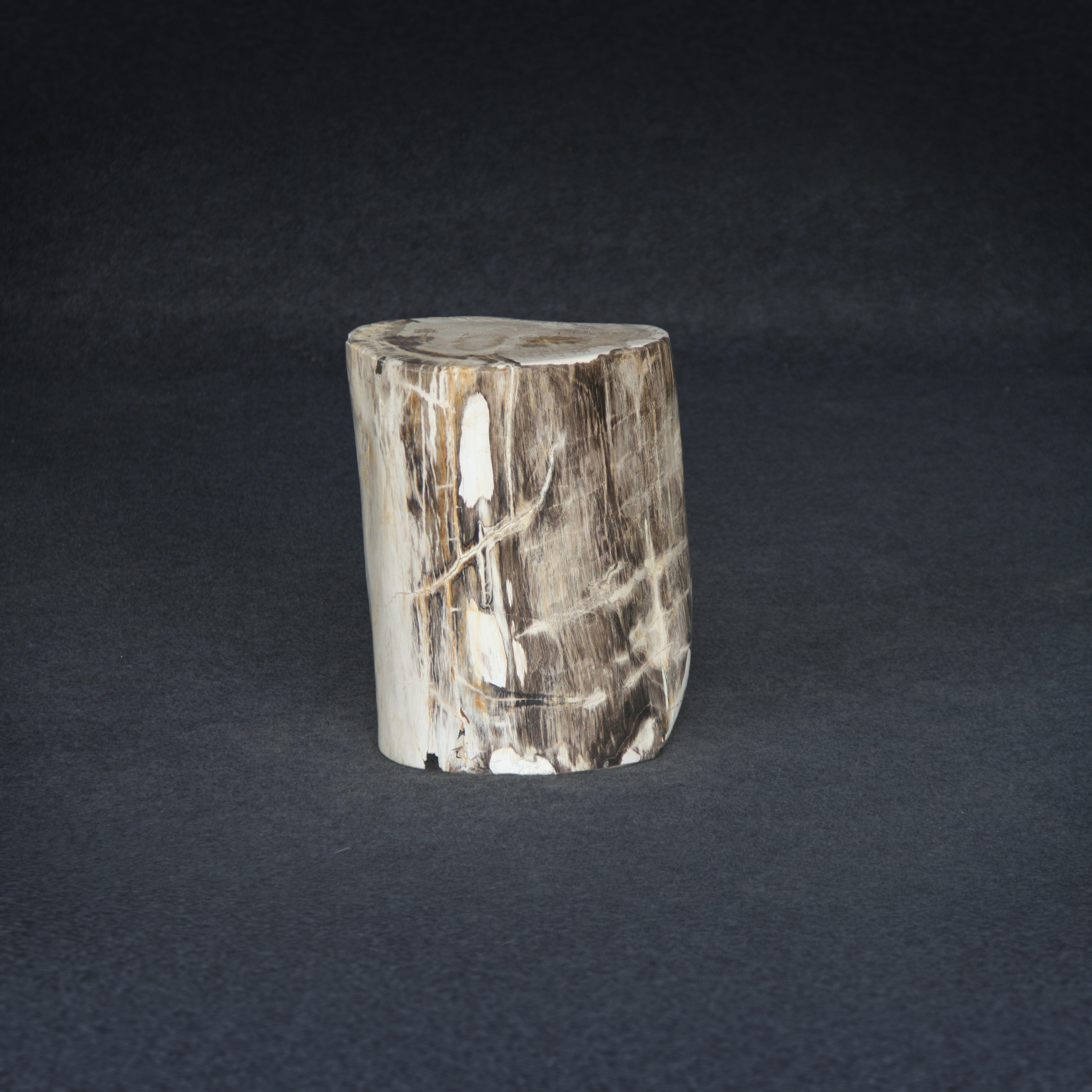 Kalifano Petrified Wood Petrified Wood Round Stump / Stool 16" / 112lbs PWS2000.002