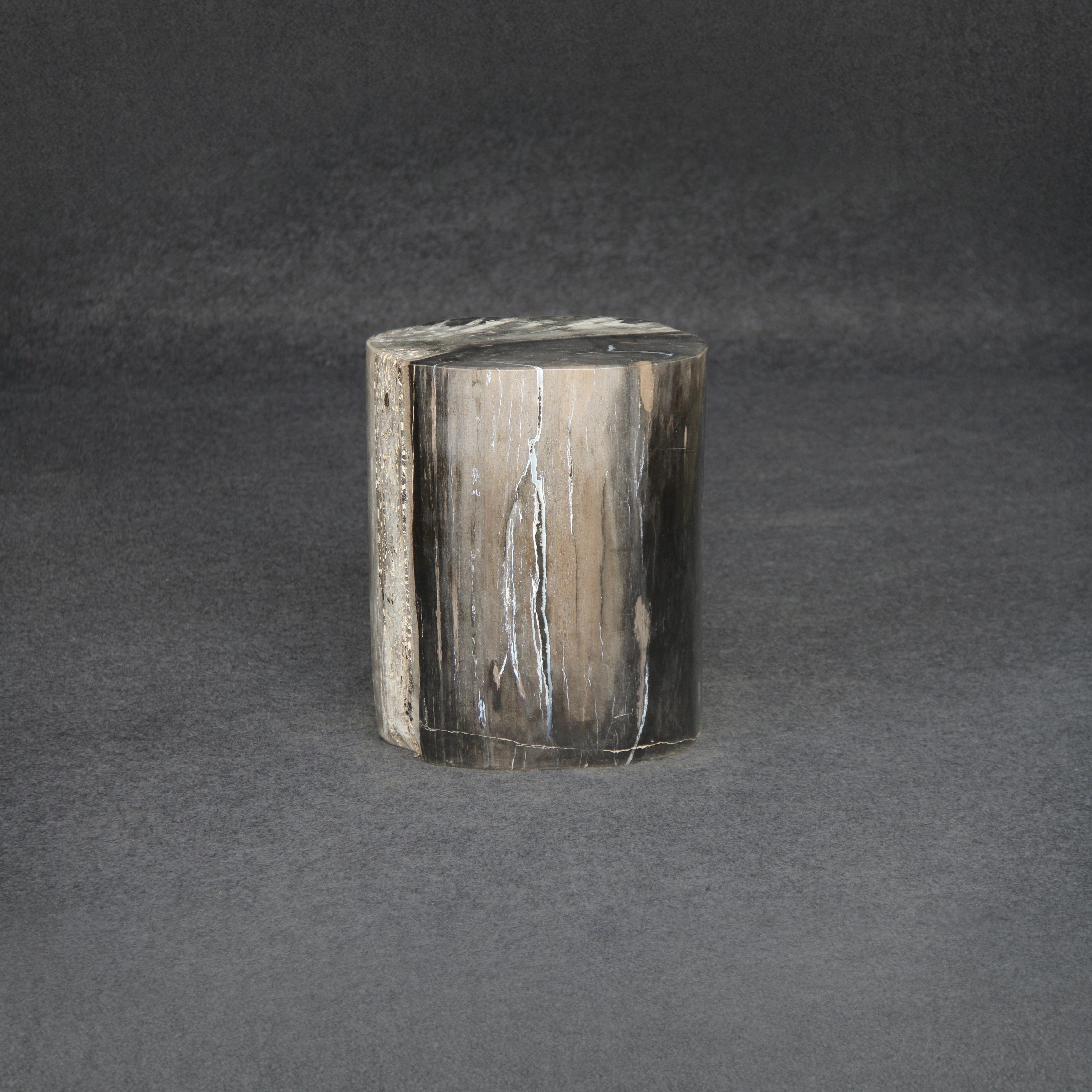 Kalifano Petrified Wood Petrified Wood Round Stump / Stool 16" / 148lbs PWS2800.014