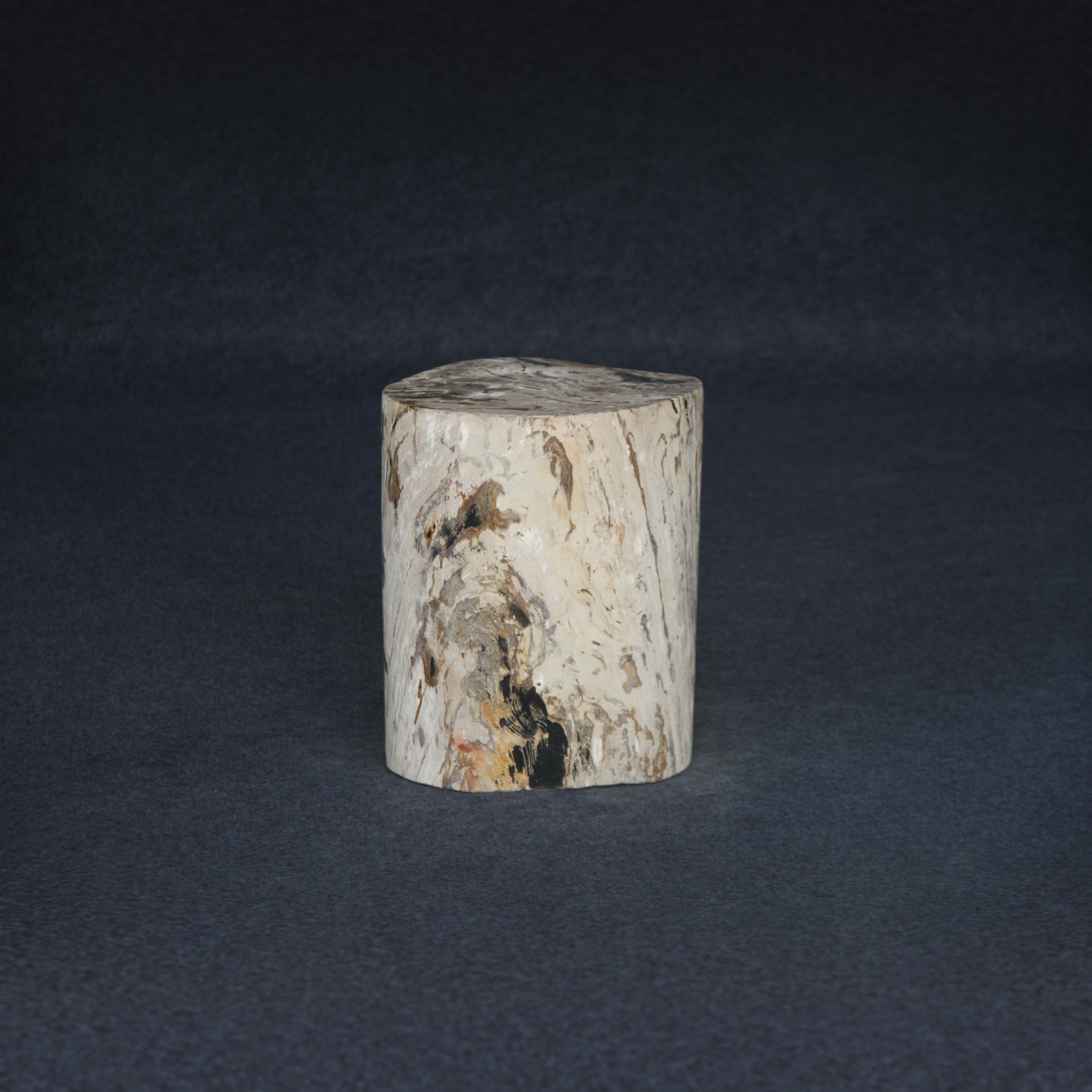 Kalifano Petrified Wood Petrified Wood Round Stump / Stool 16" / 148lbs PWS2800.015