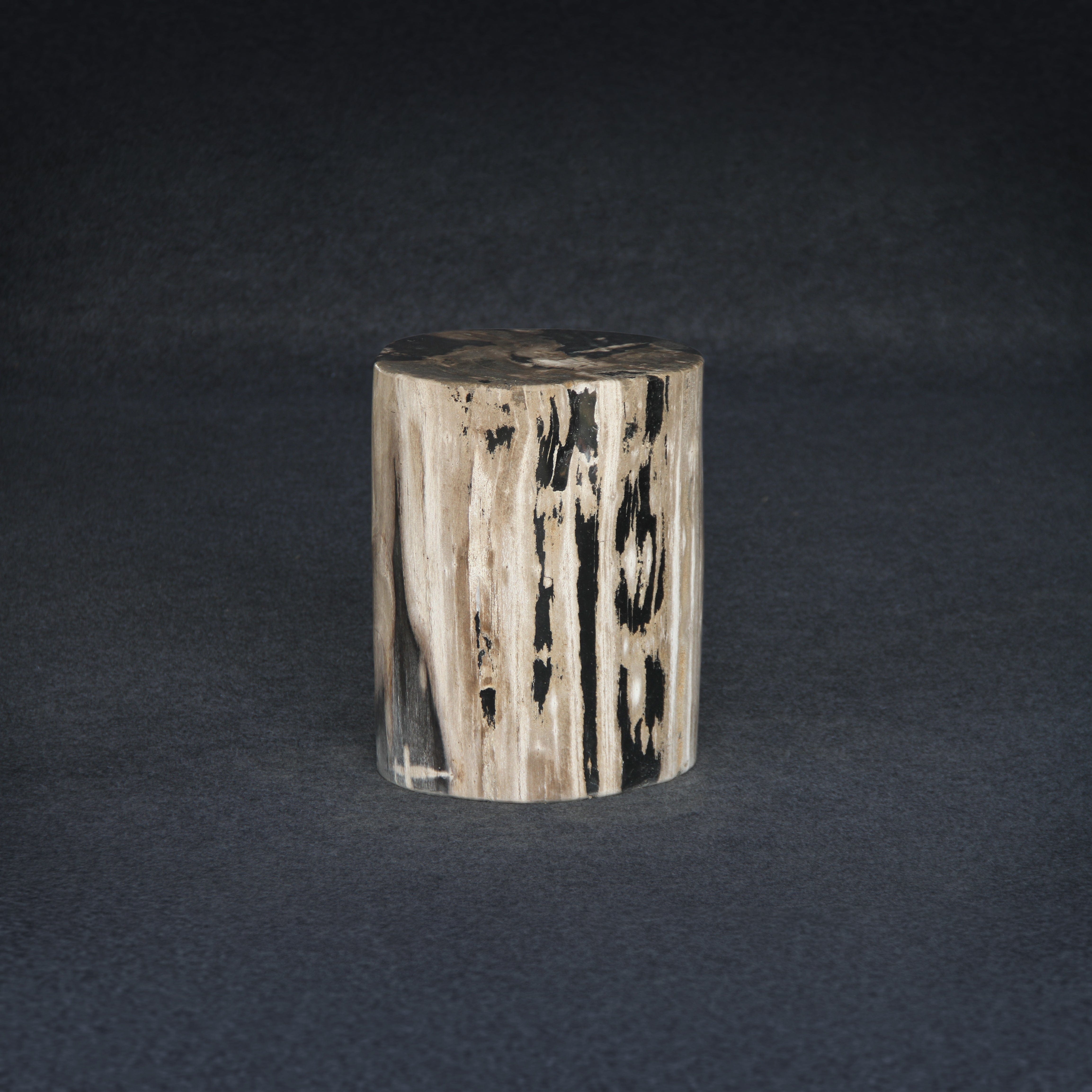 Kalifano Petrified Wood Petrified Wood Round Stump / Stool 16" / 159lbs PWS3000.010
