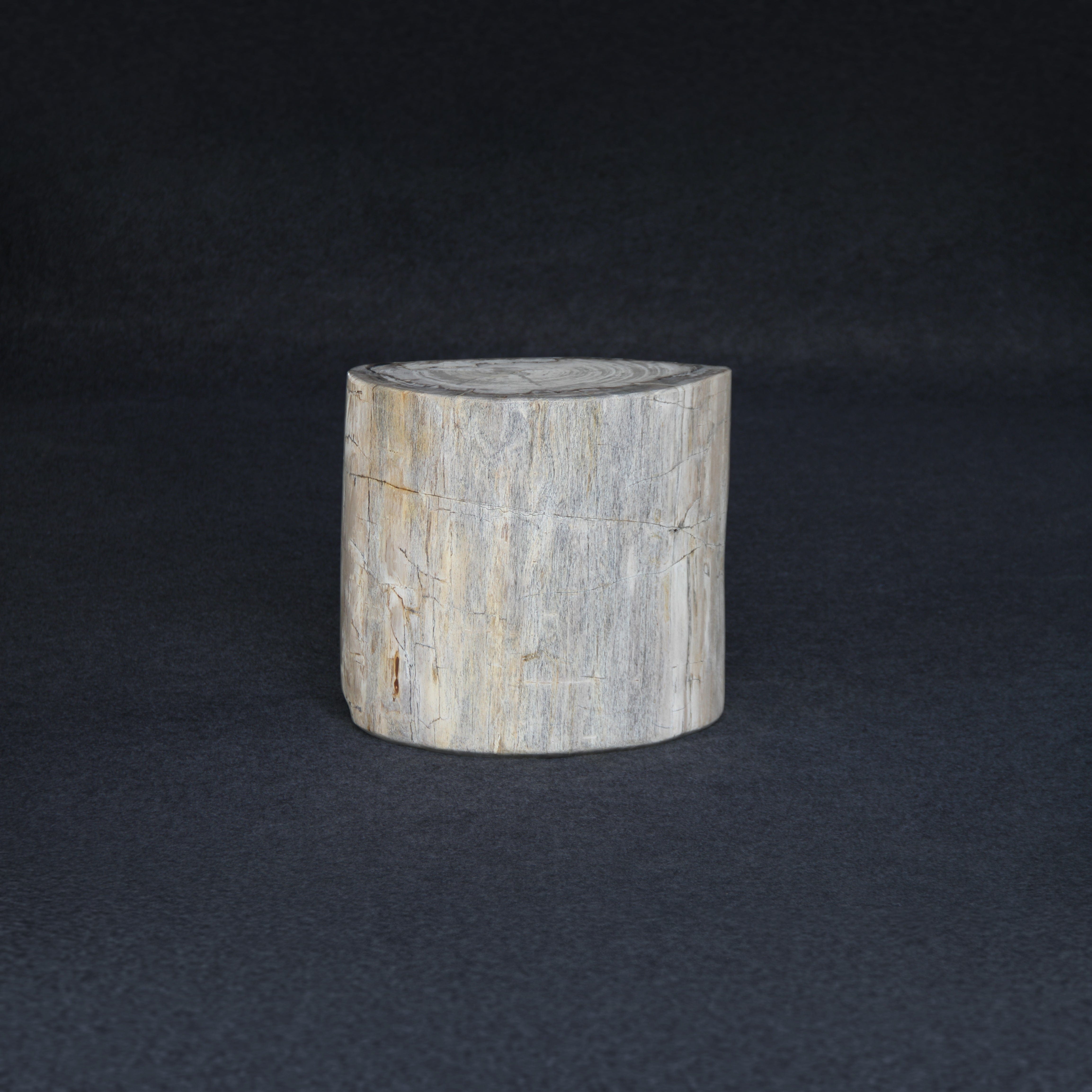 Kalifano Petrified Wood Petrified Wood Round Stump / Stool 16" / 170lbs PWS3200.013